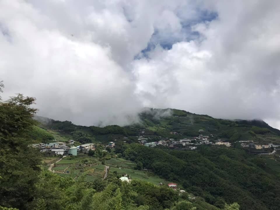雲瀑&茶園