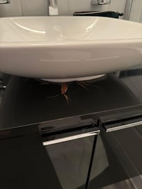 Cracked bathroom countertop in several places