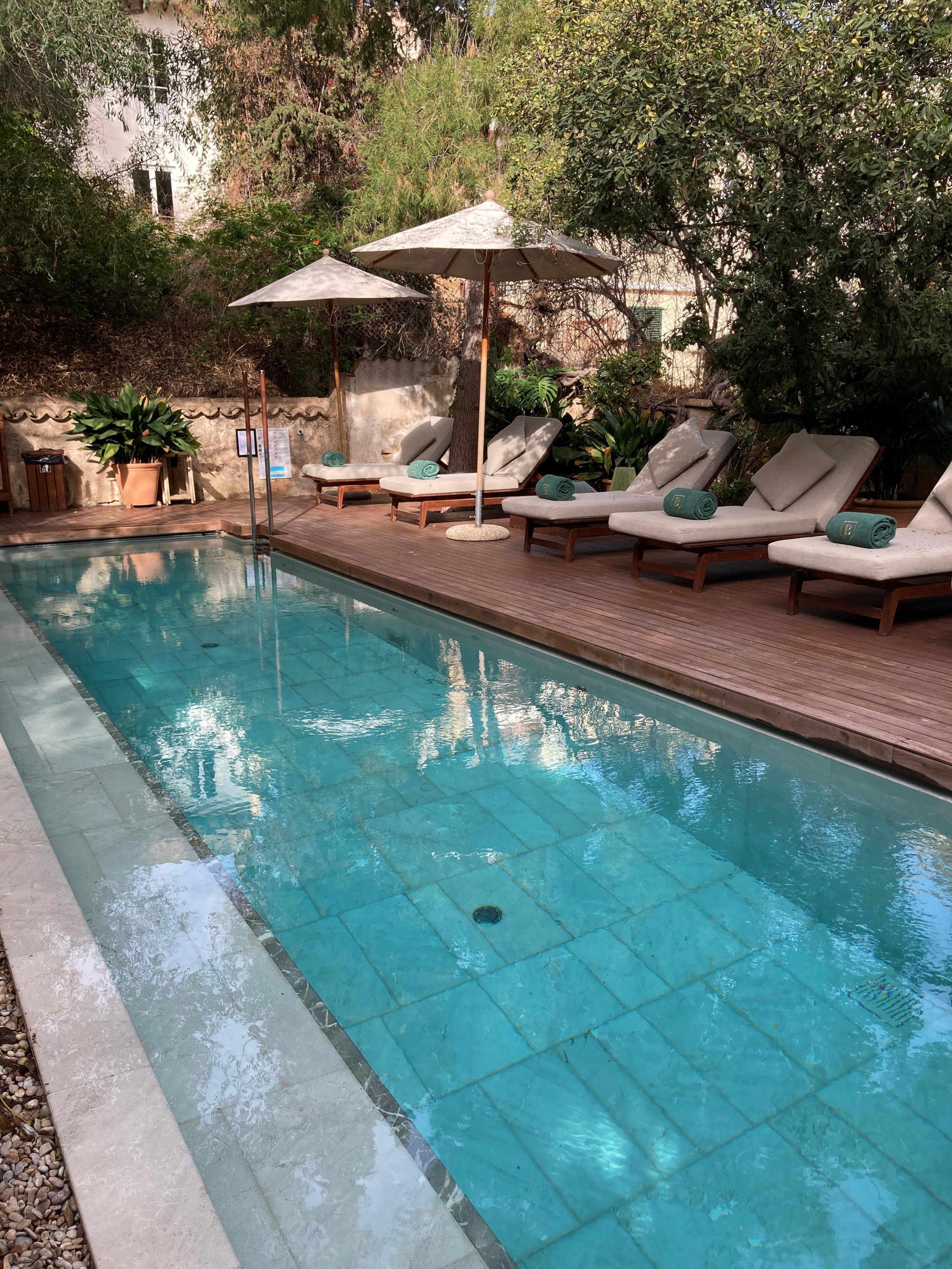 Piscine chauffée dans le jardin 