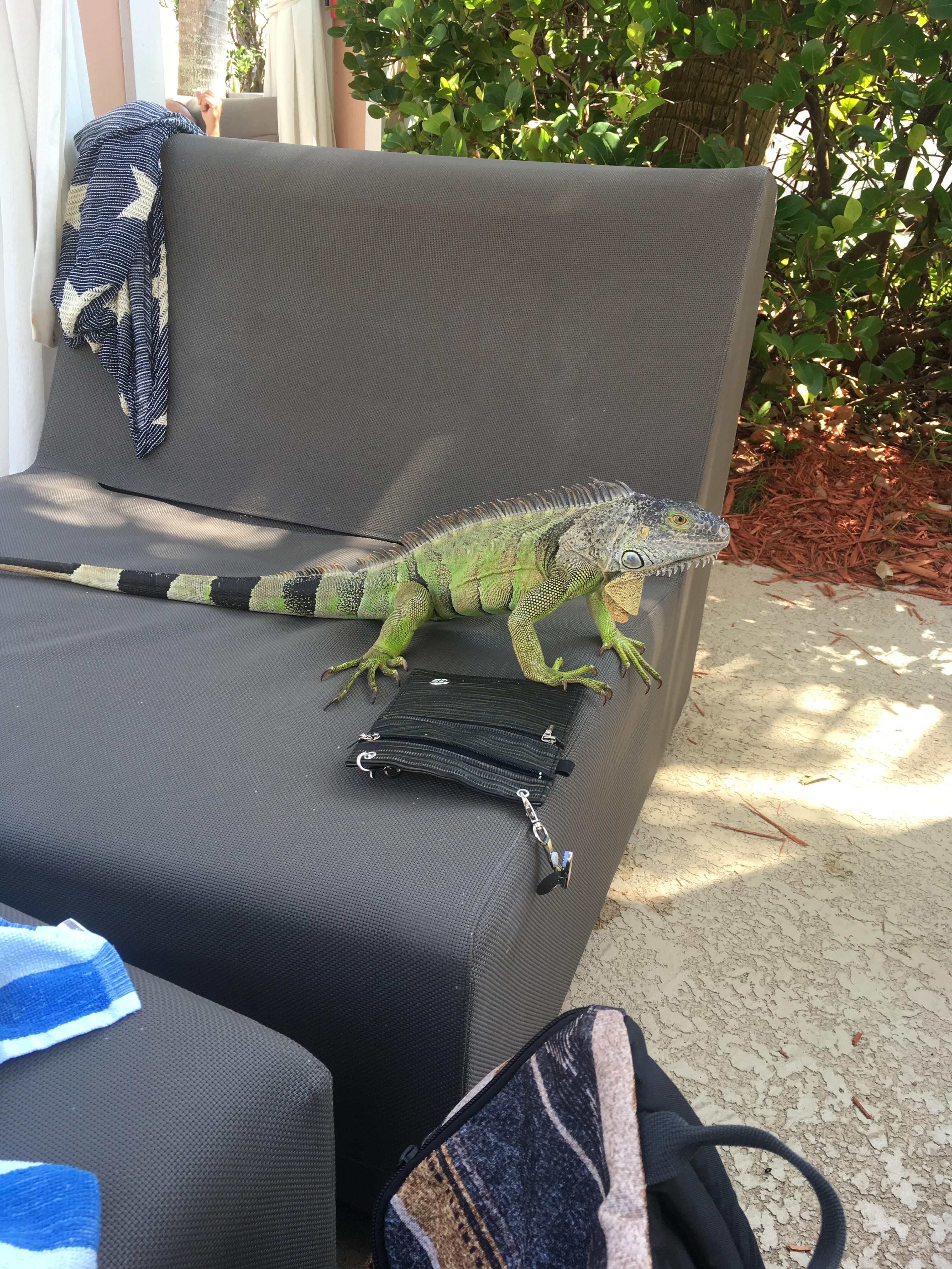 Pool side friends