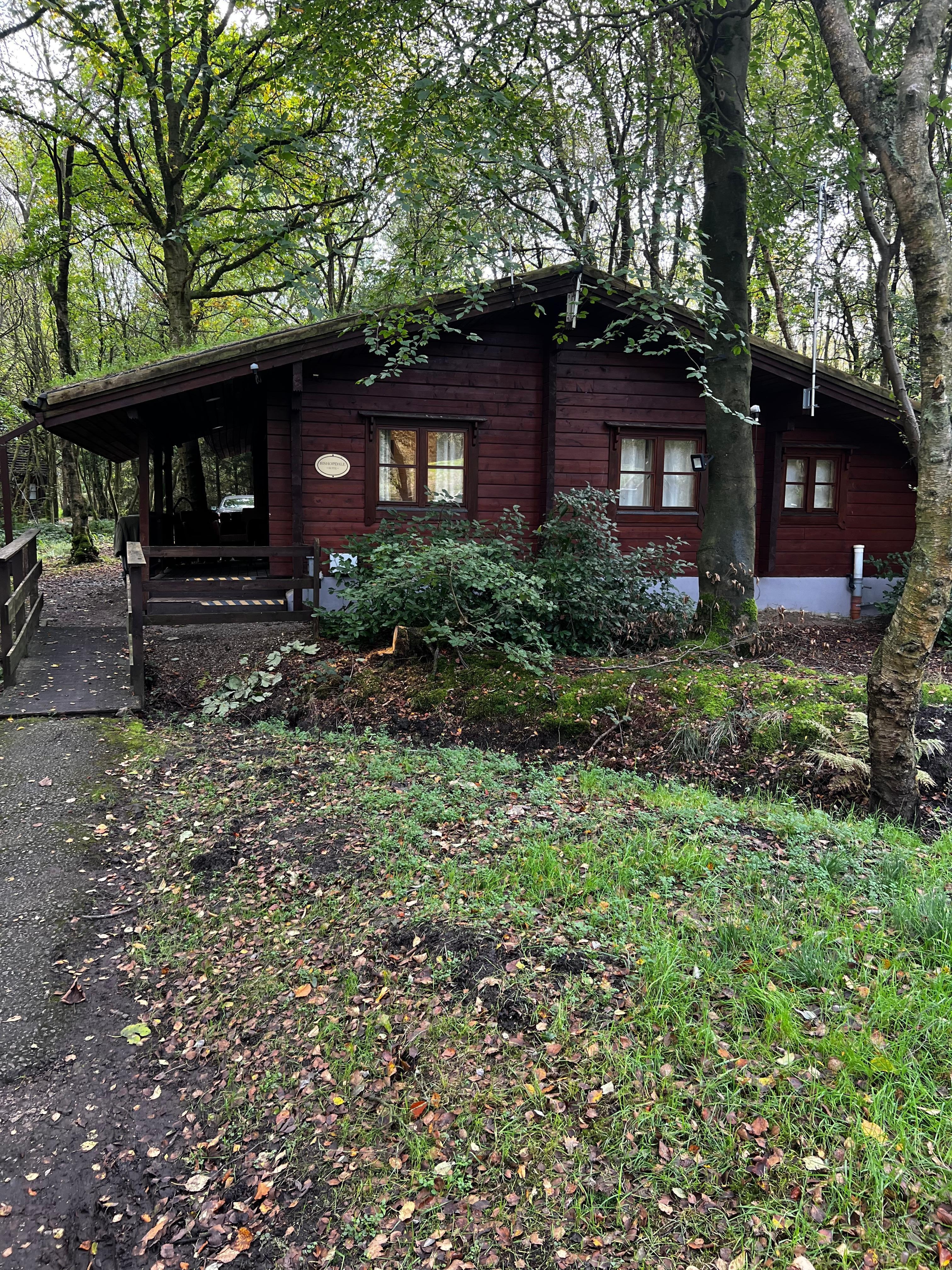 Cabin in the woods