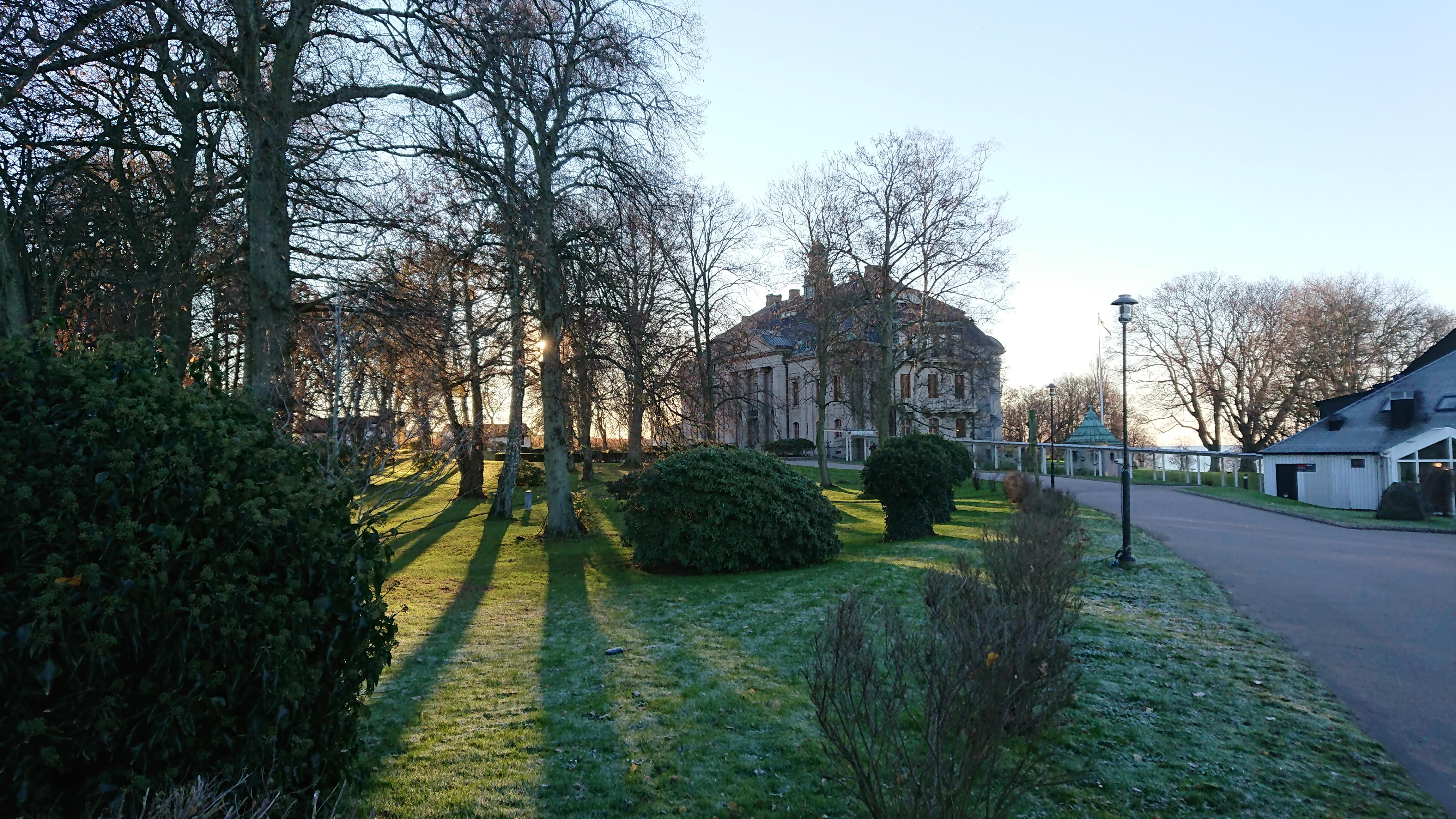 Örenäs i morgonsol