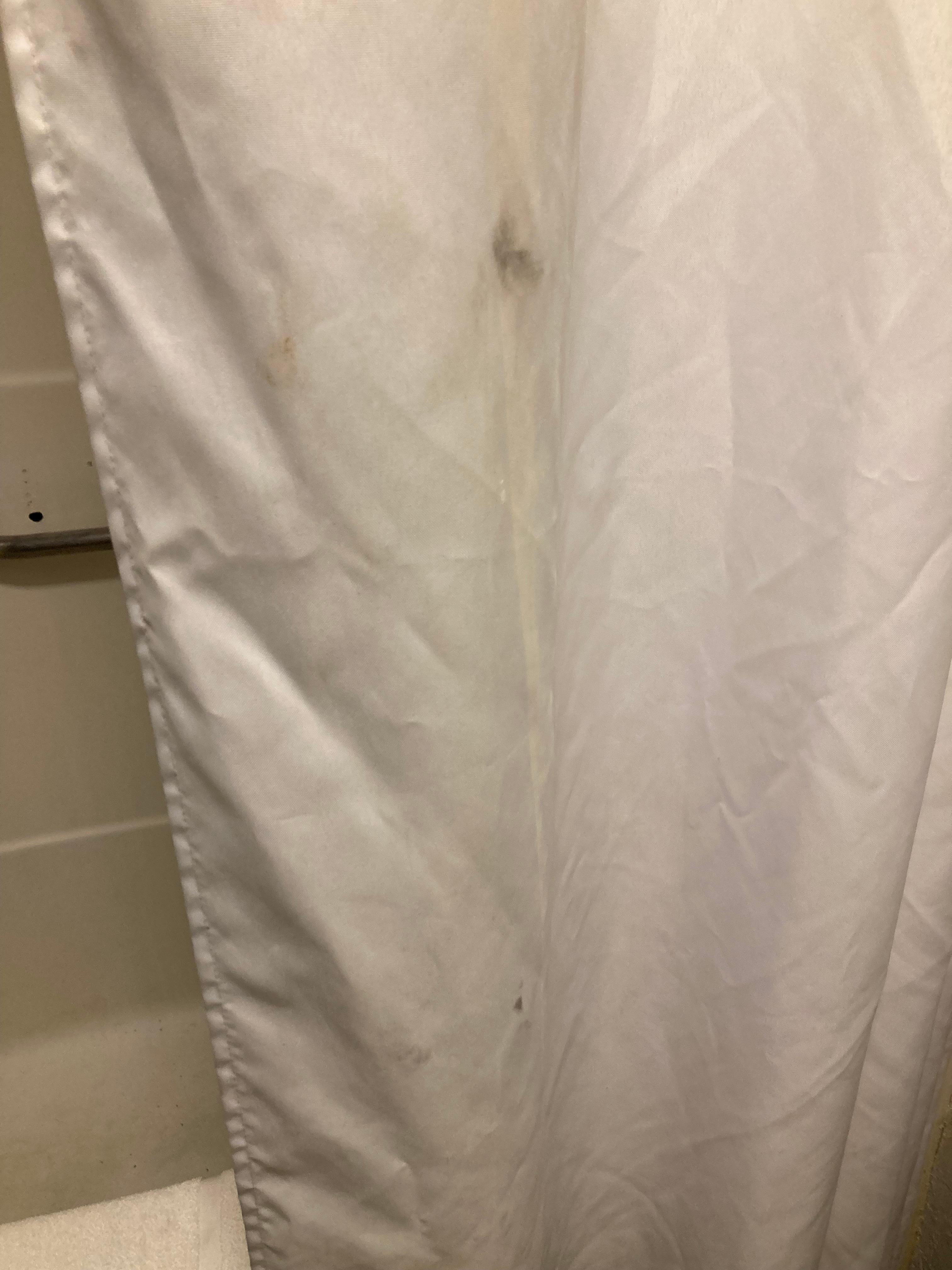 Spot on shower curtain with the tub and toilet were 100% even more disgusting 