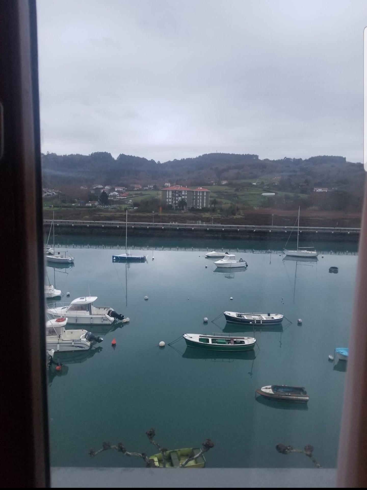 The view from my room on a cloudy day.