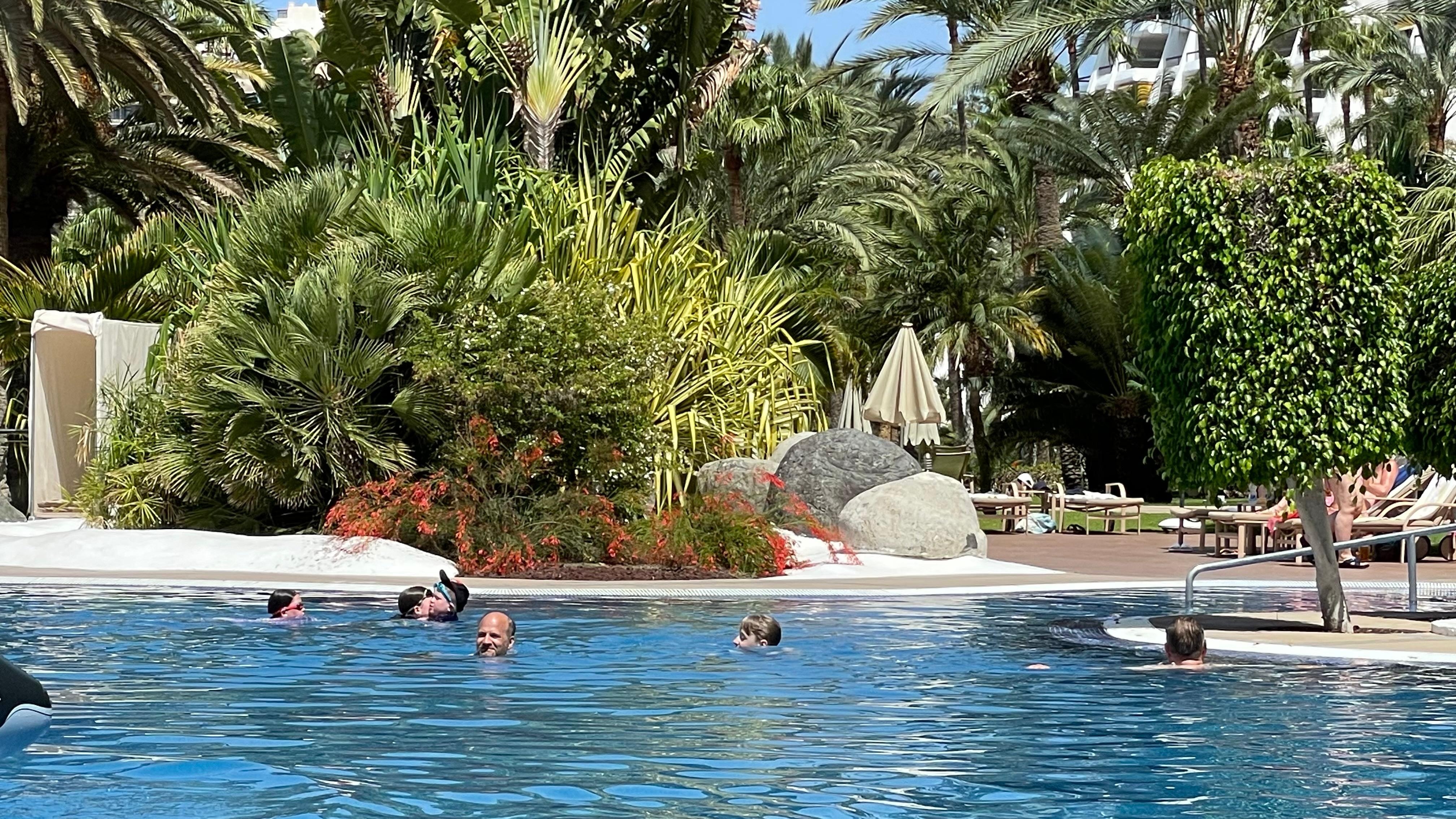 Trevligt poolomrÄde