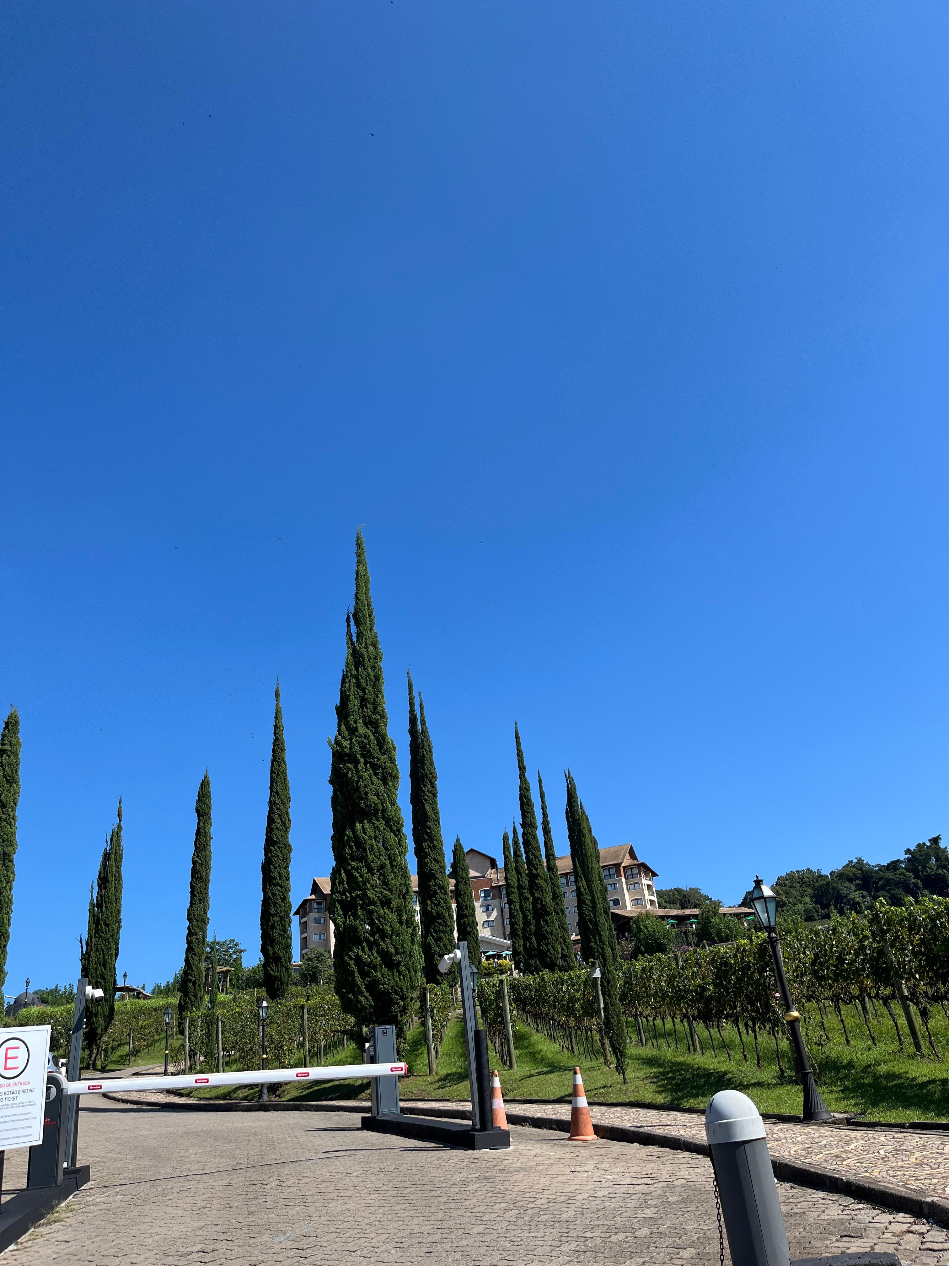 Não é Toscana. É Serra Gaúcha!