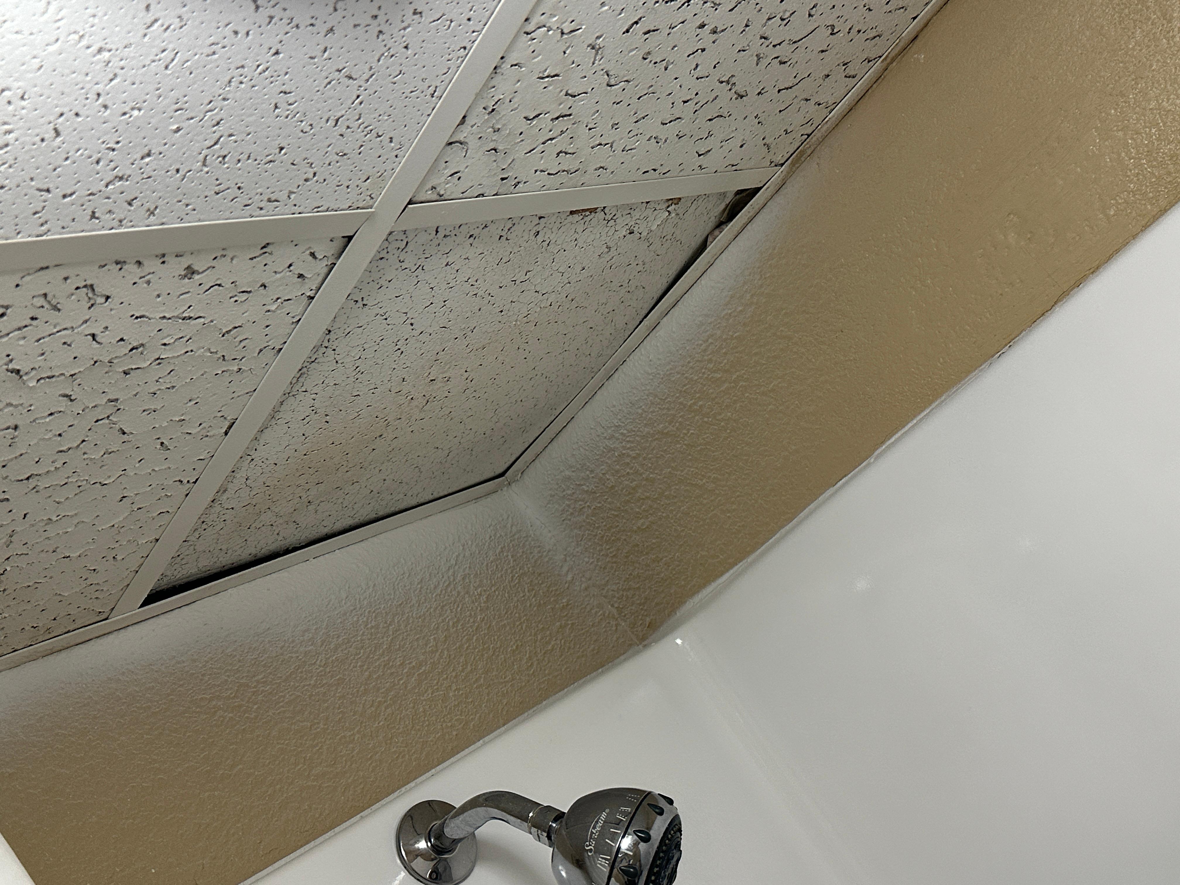 Celling tile above shower head