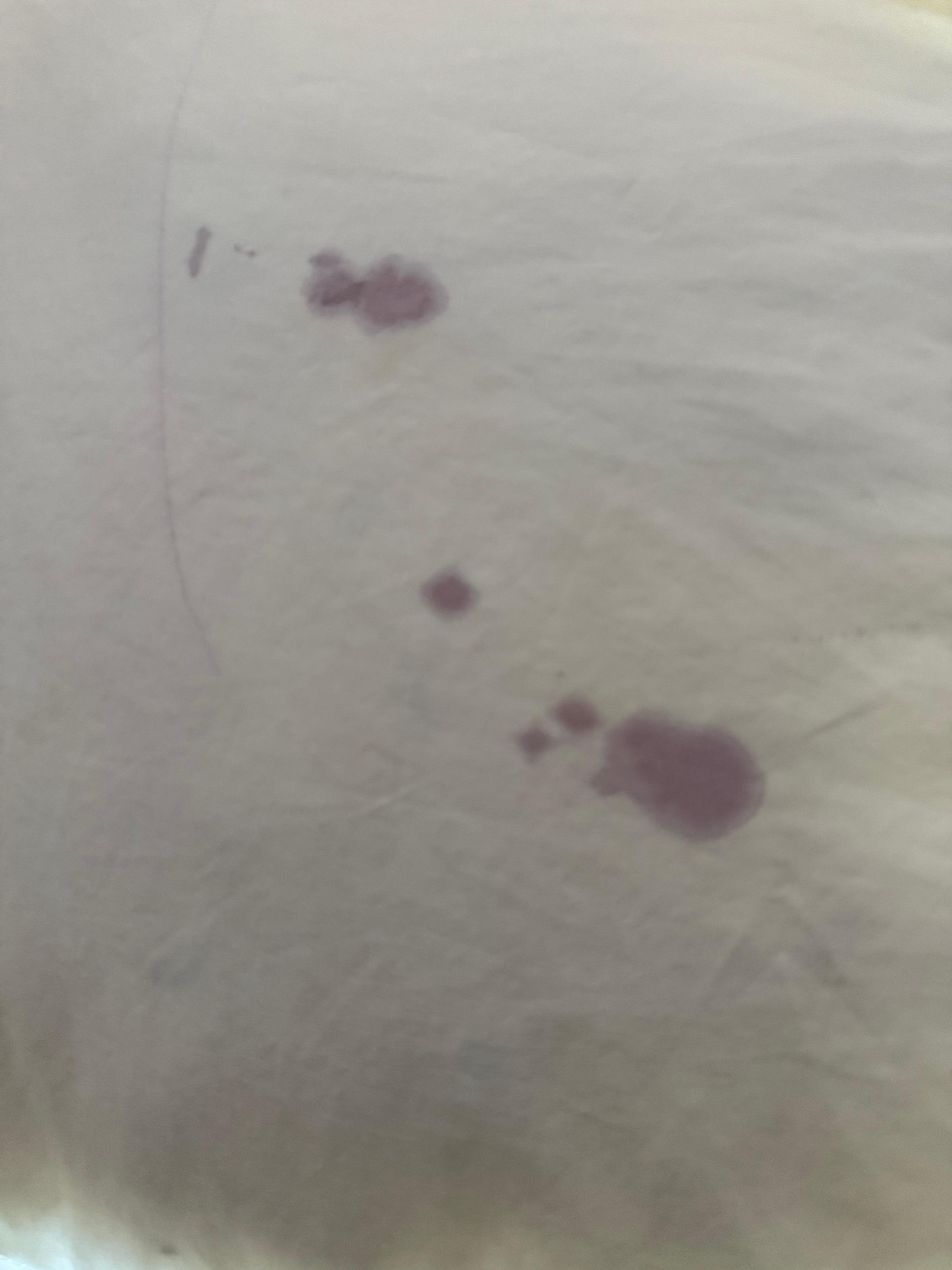 Wine stains on comforter