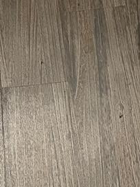 Dead roaches on floor