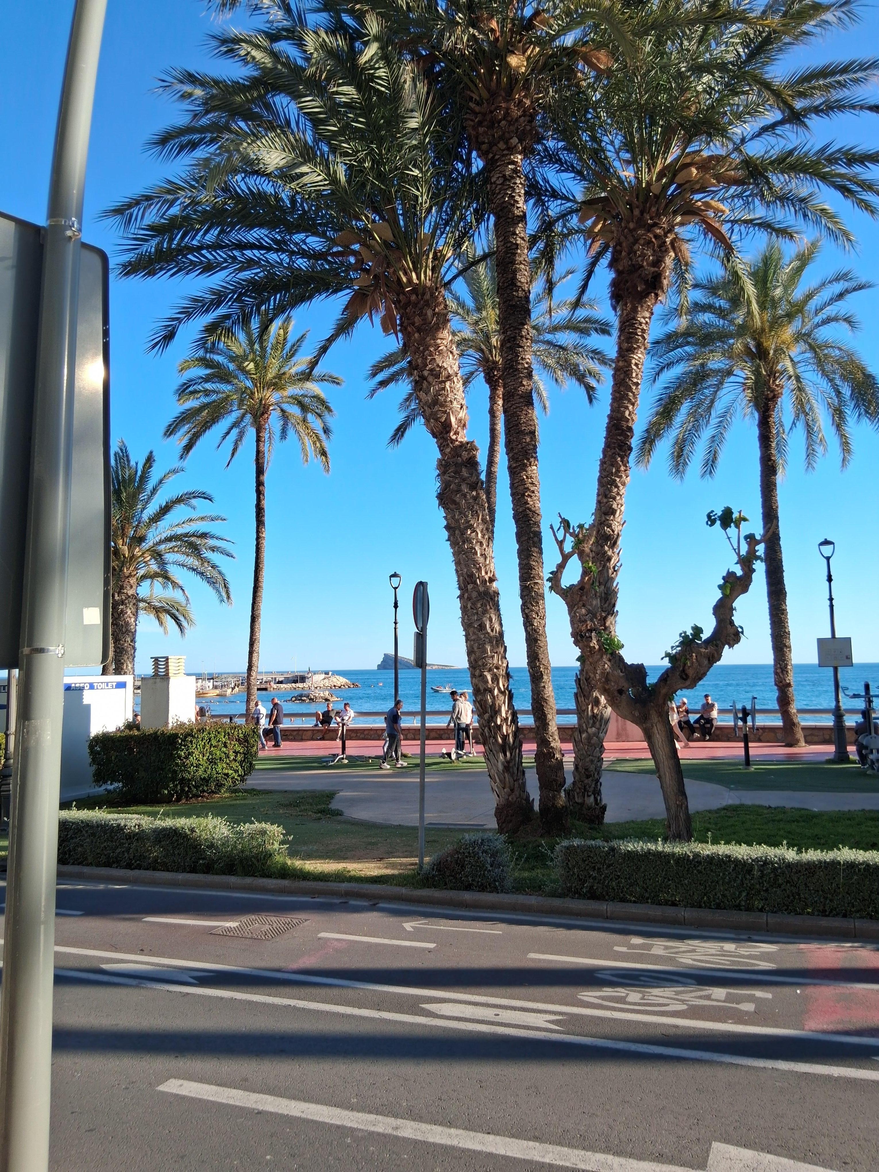 View from front of hotel