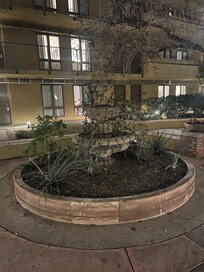 Right outside our room, an old water fountain overgrown with weeds, and a dead tree.