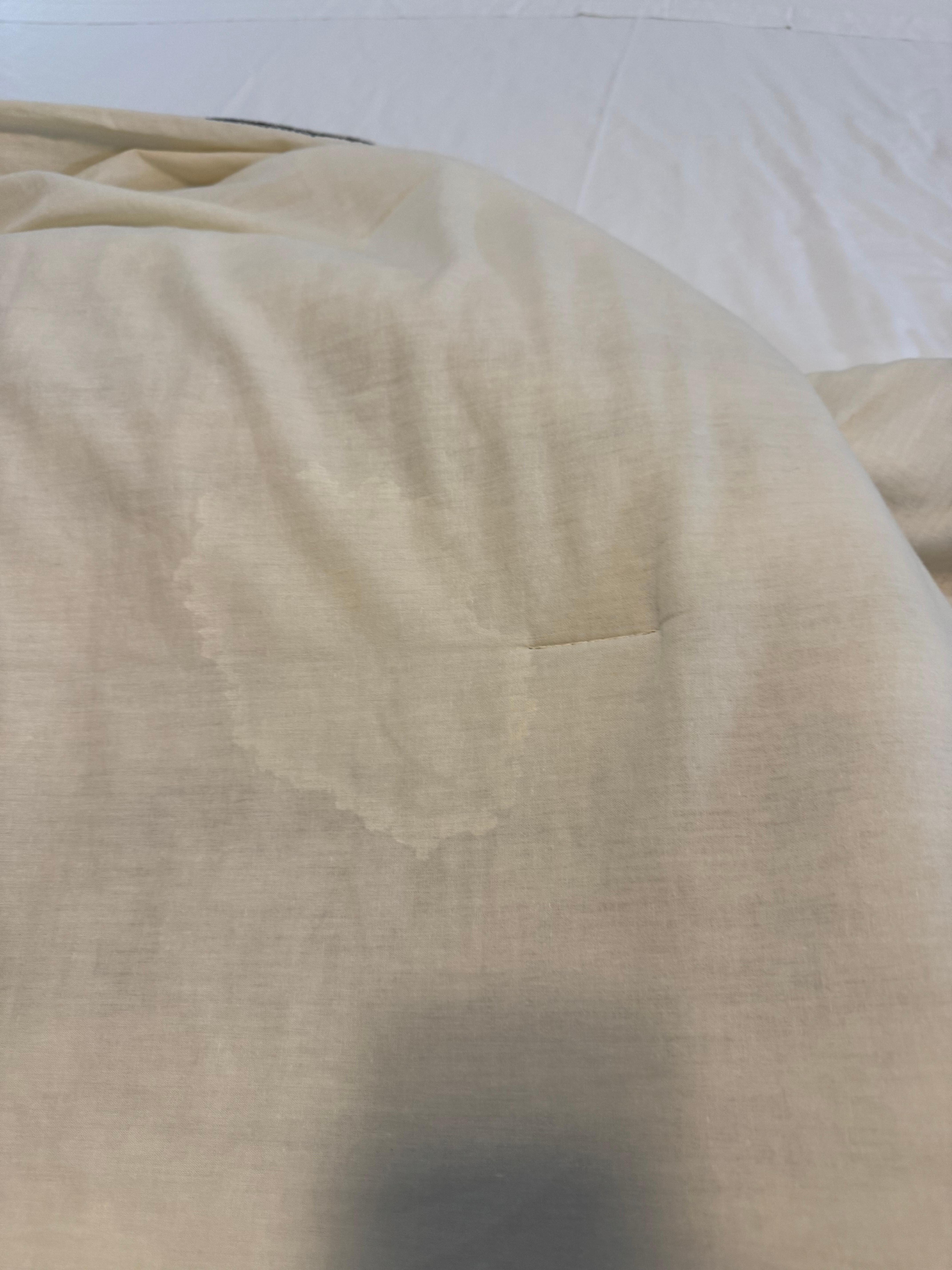 Blanket in the primary bedroom 
