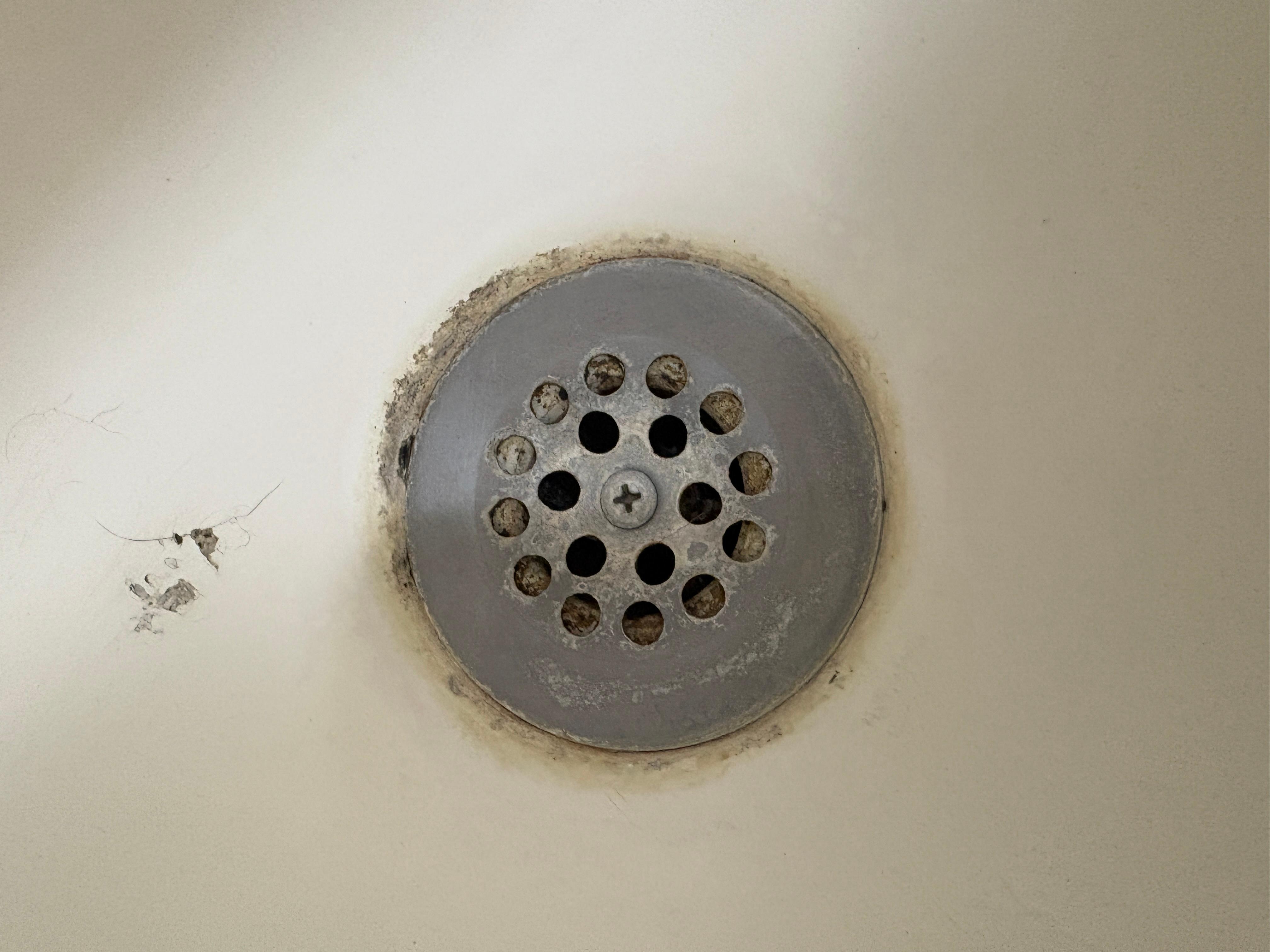 Gross shower drain.