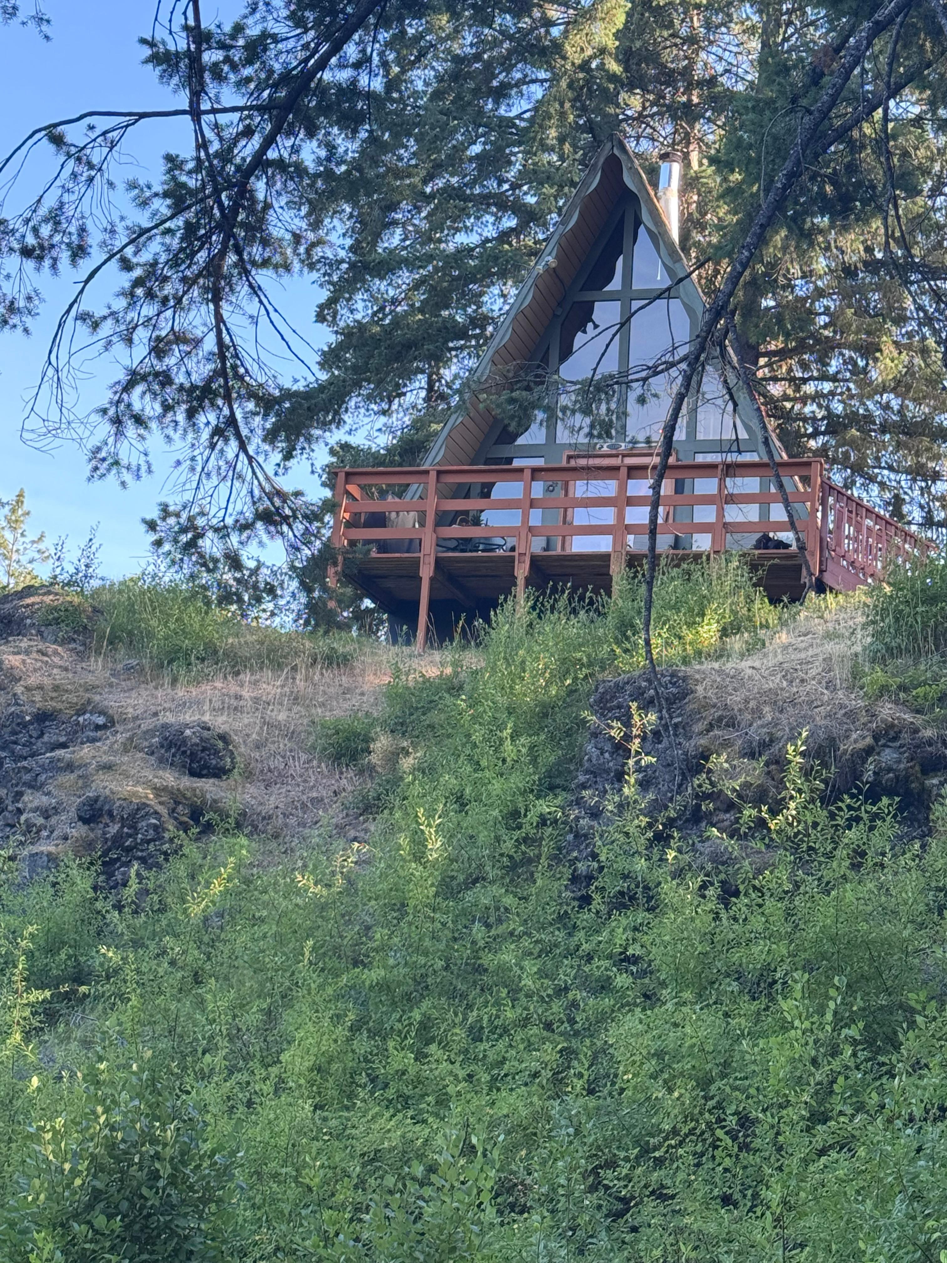 Looking up from trail to creek 
