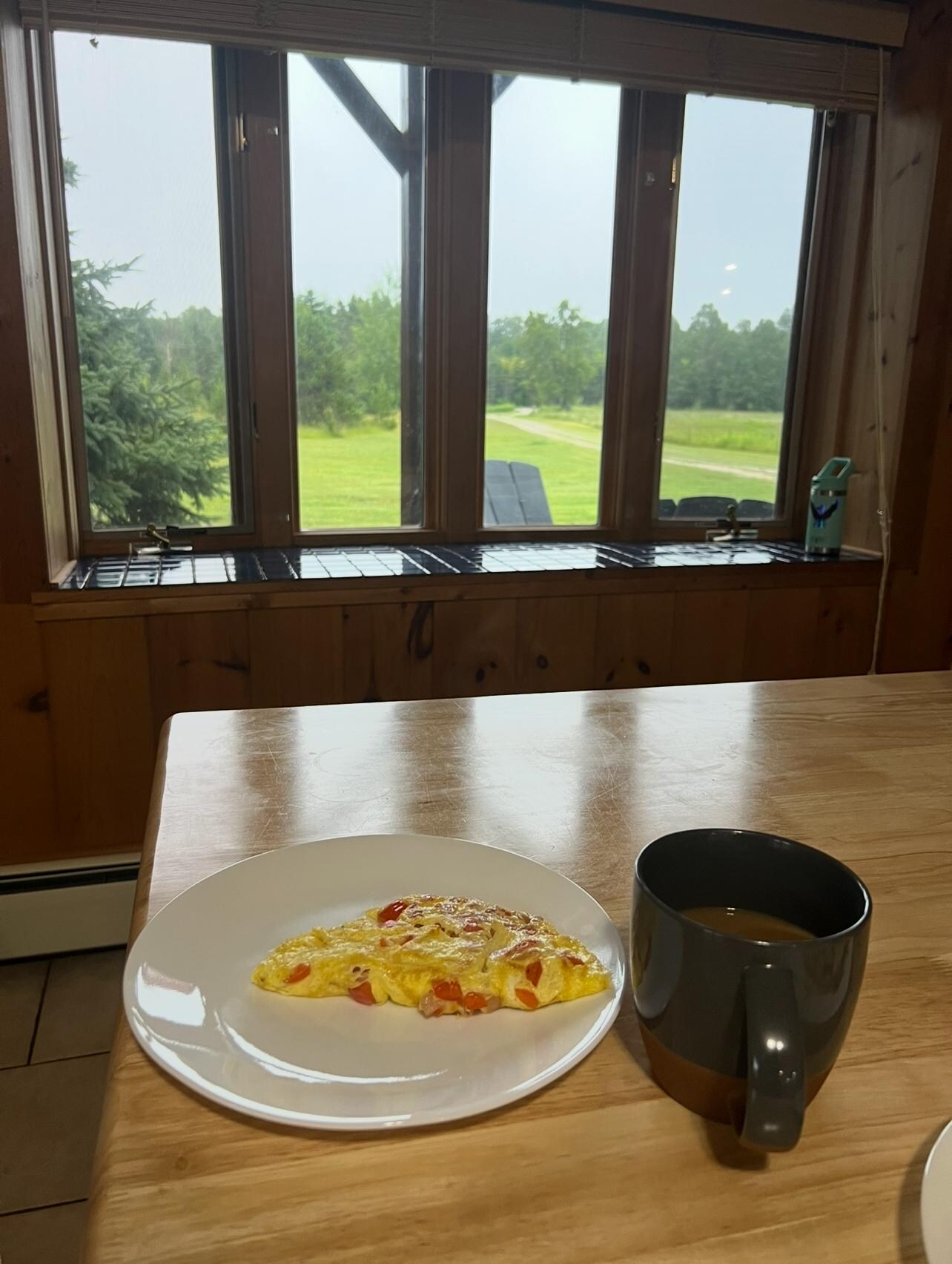 A great view from the dining room!