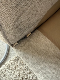 Cigarette butts found in the living room sofa.