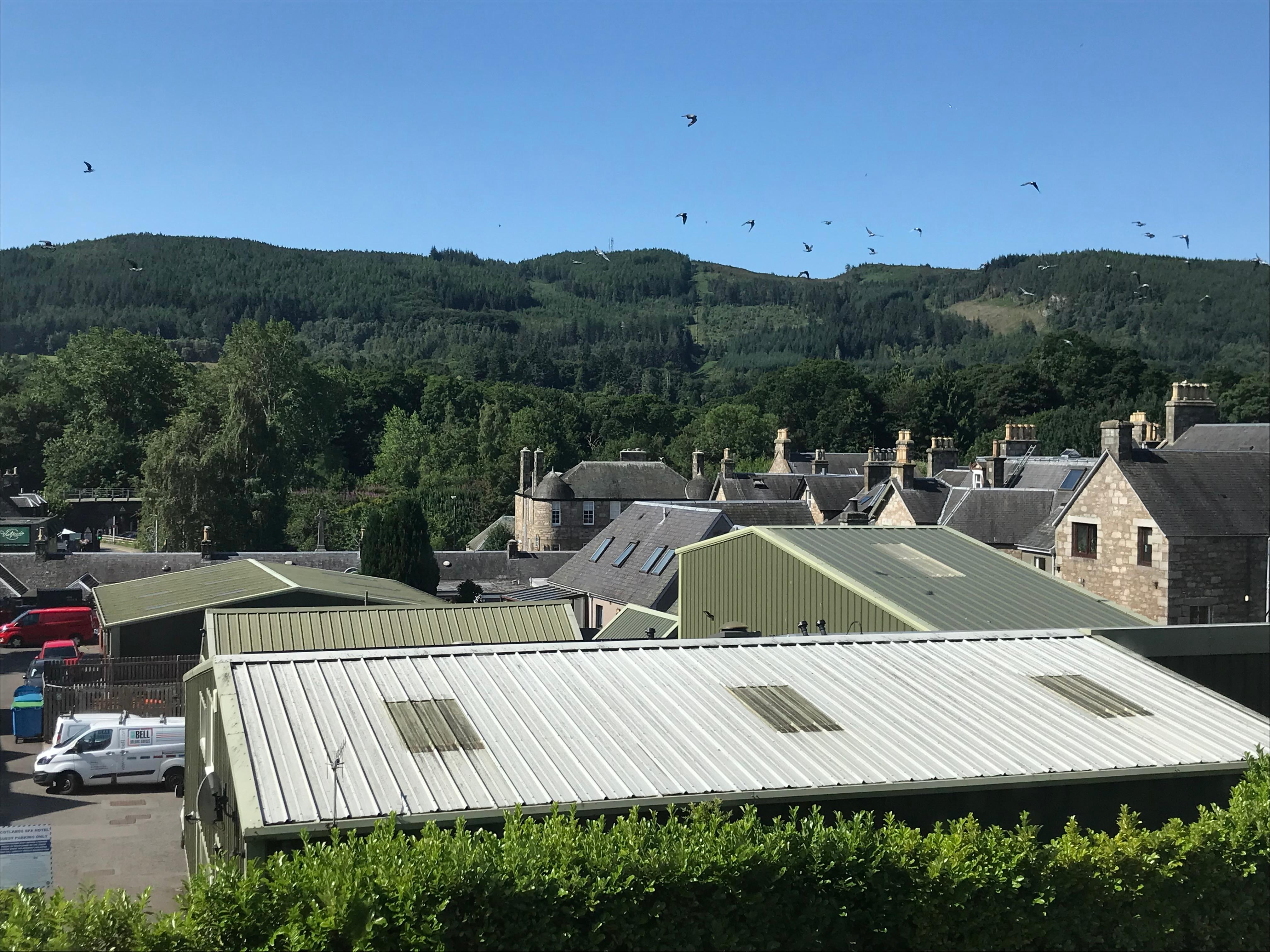 Room view
