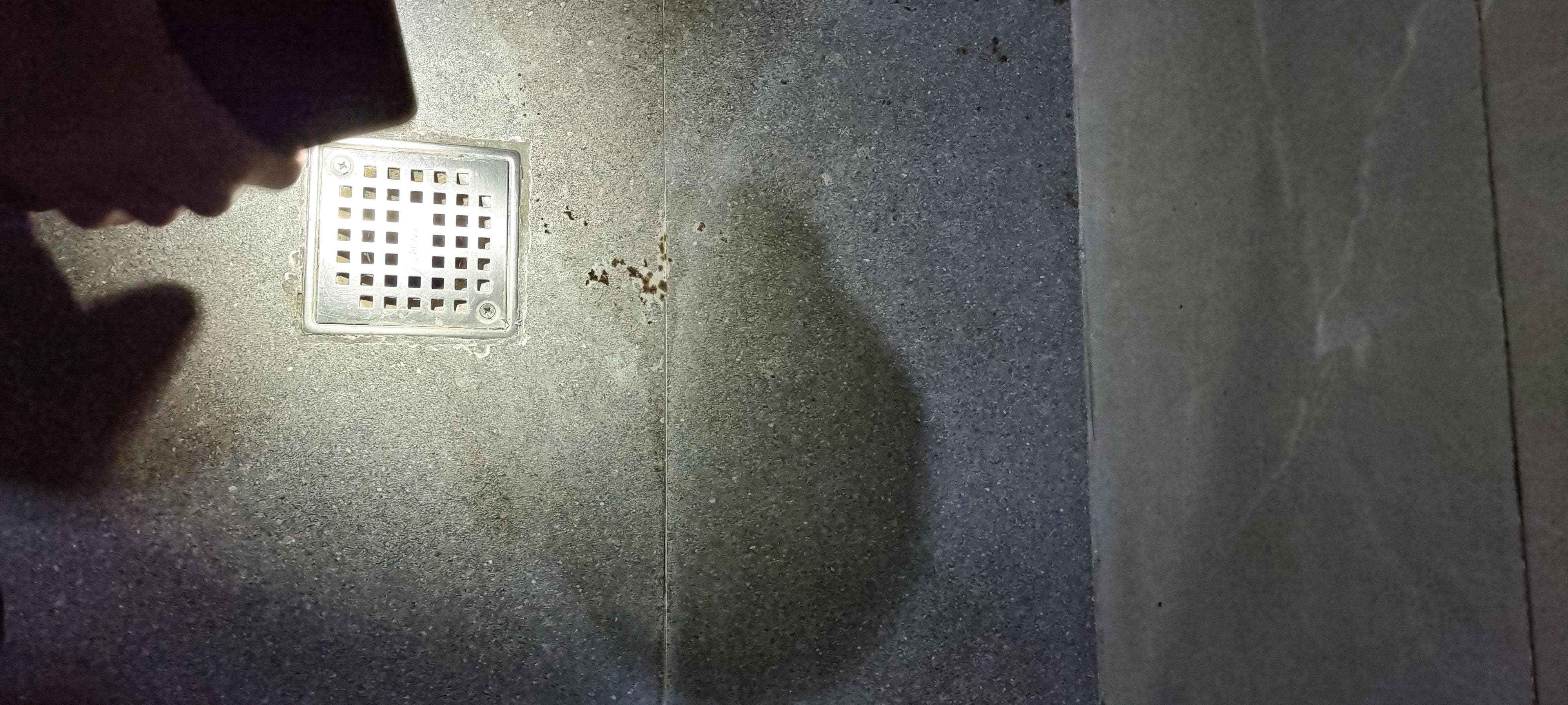 Excrements in the shower