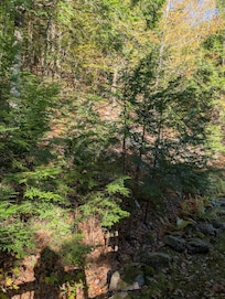 View from the back porch area