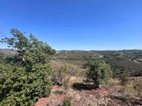 View from deck