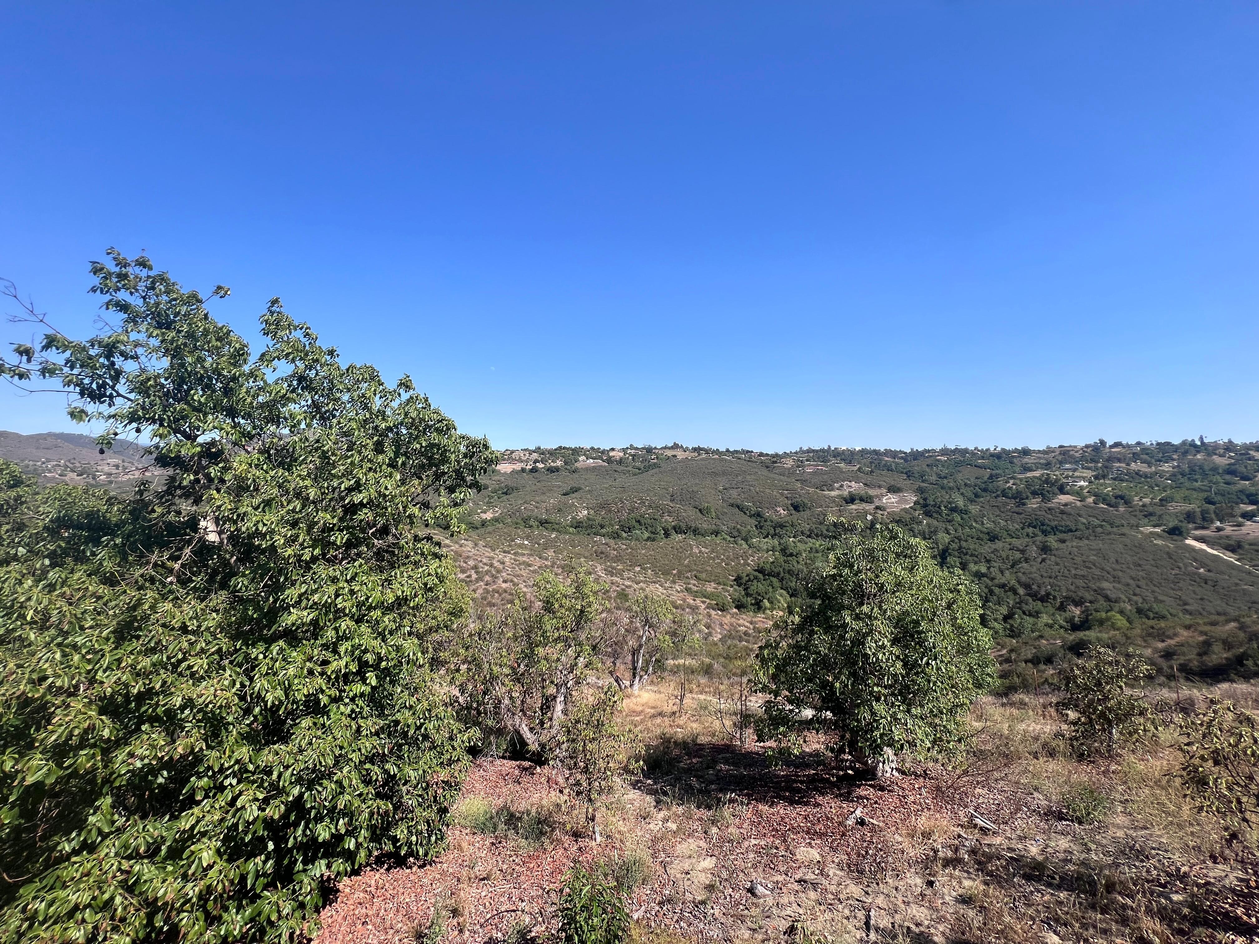 View from deck