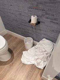 Bathroom condition at check-in.