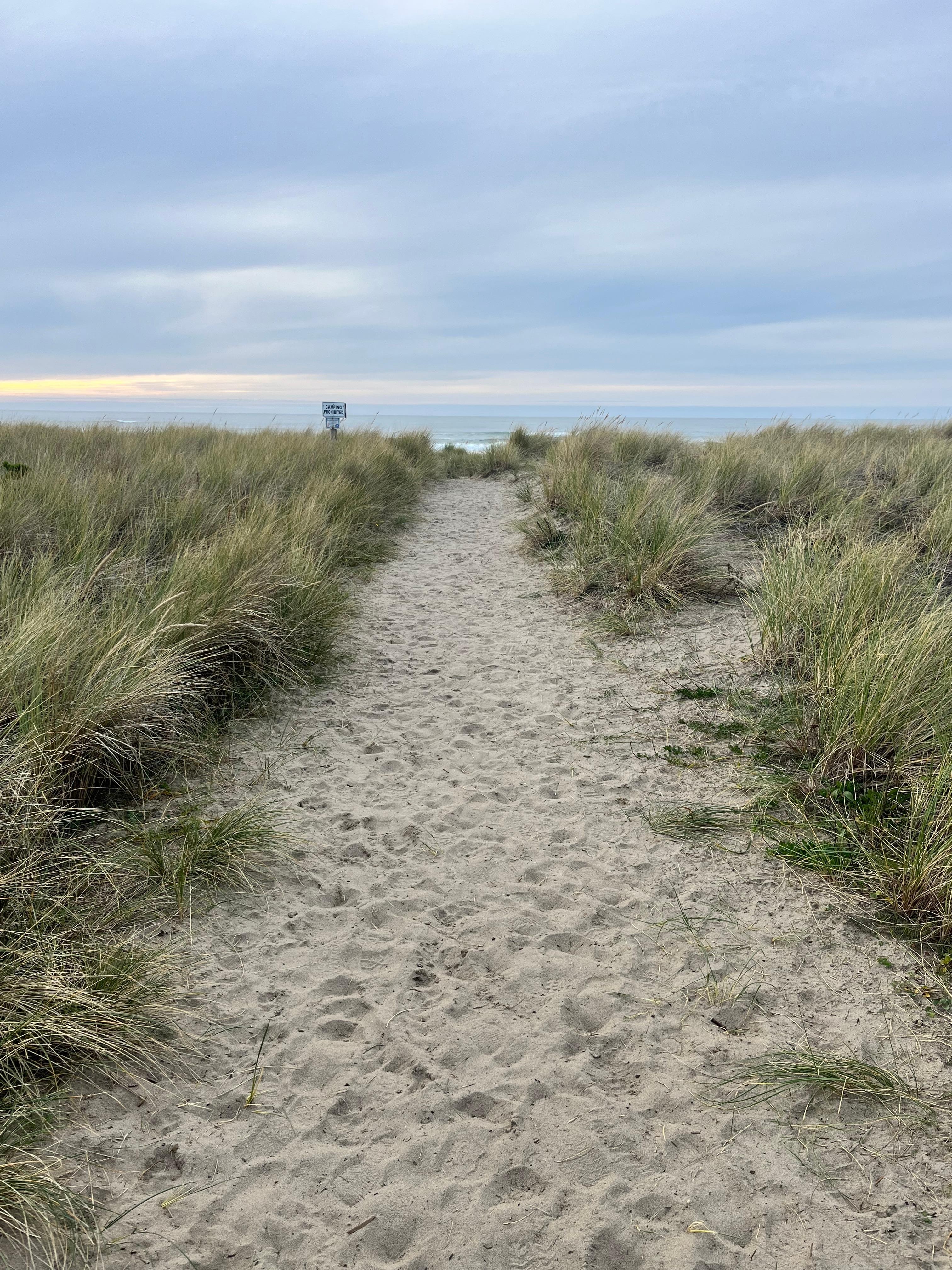 Path to the beach from the house