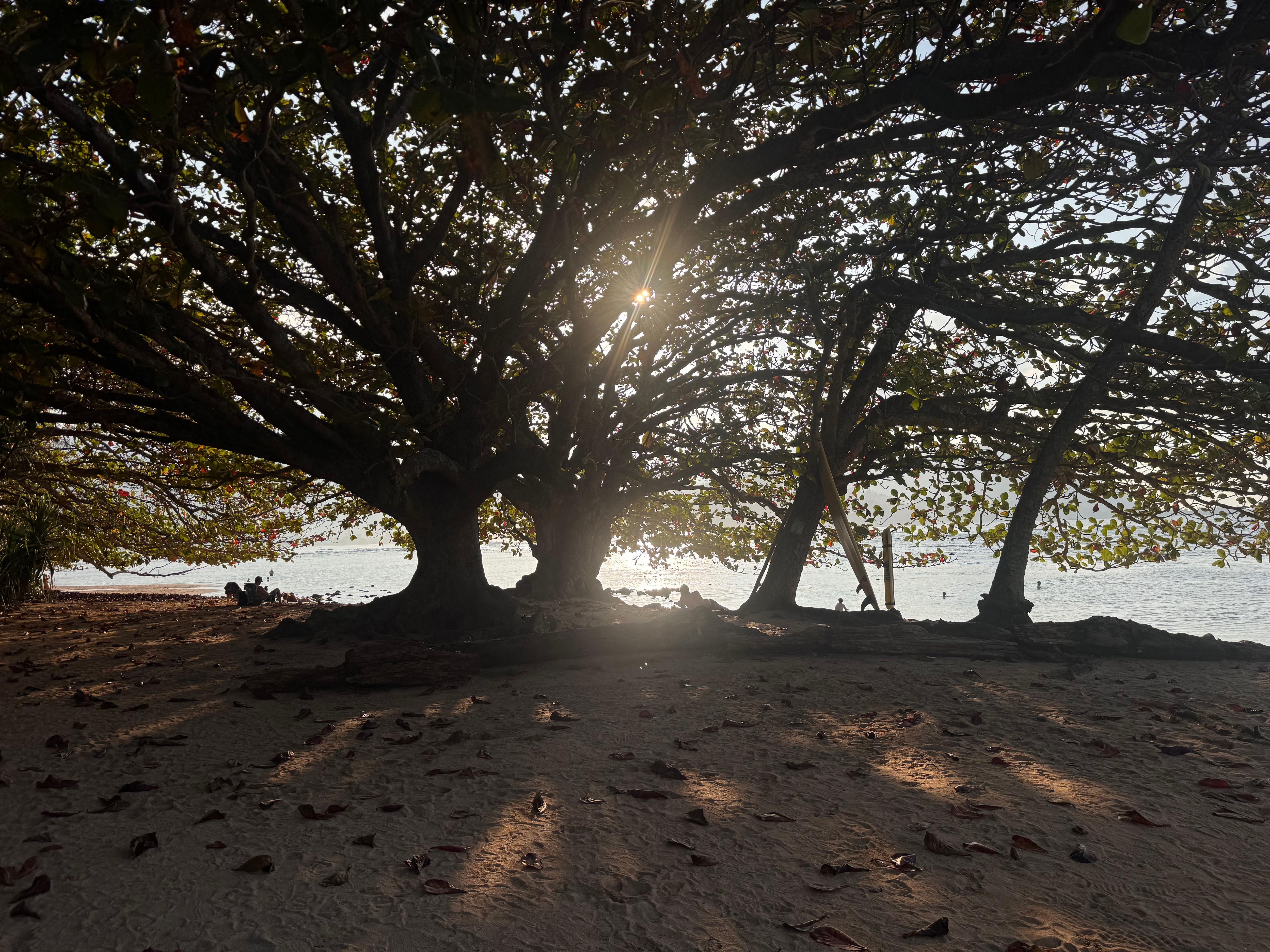 Beach down the hill. 