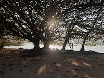 Beach down the hill.