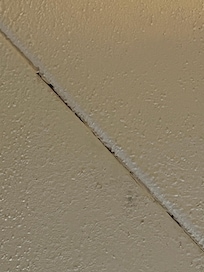 Mold on the ceiling