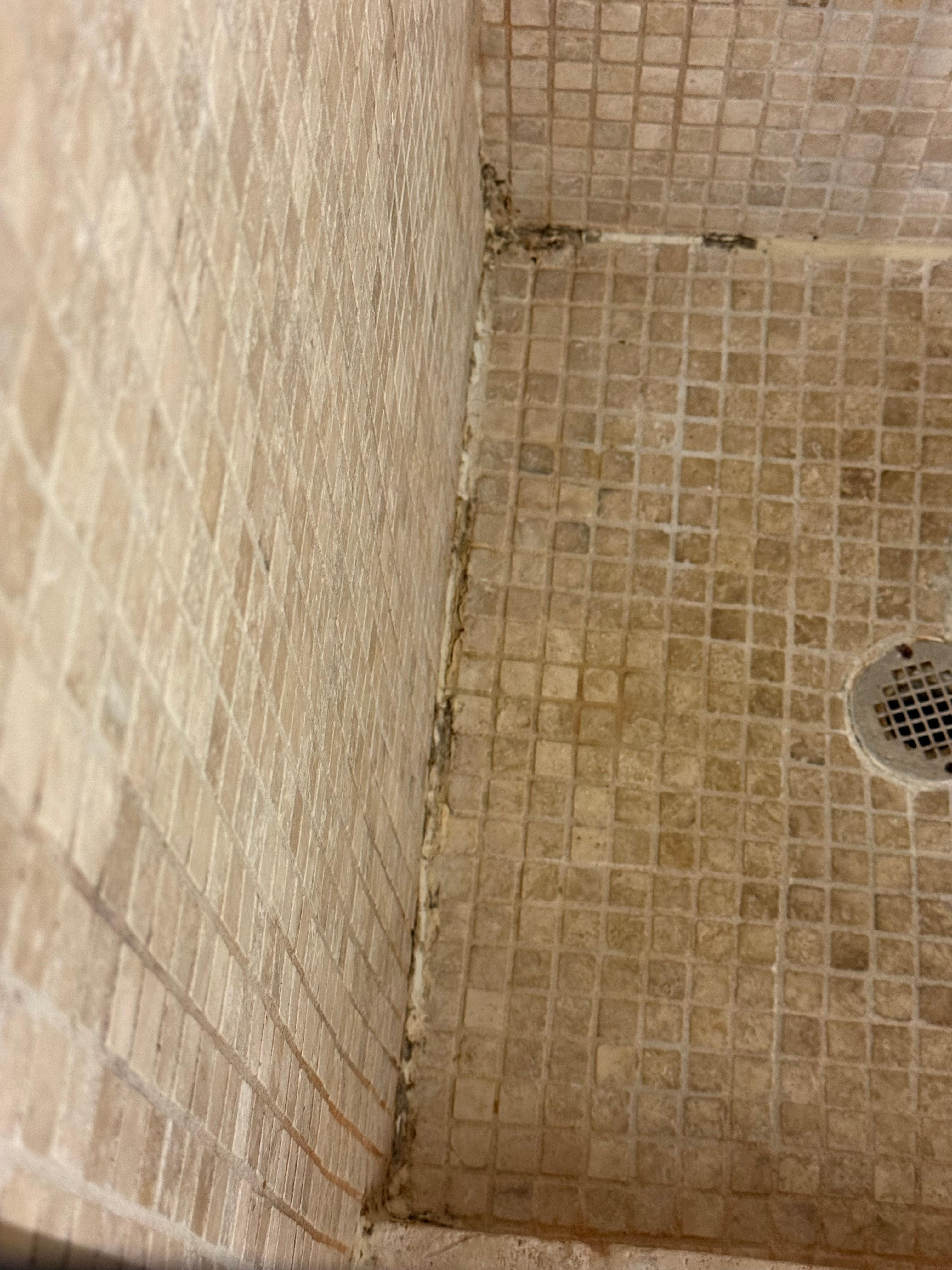 This is Just 1 area of the shower but it was all over the floor 