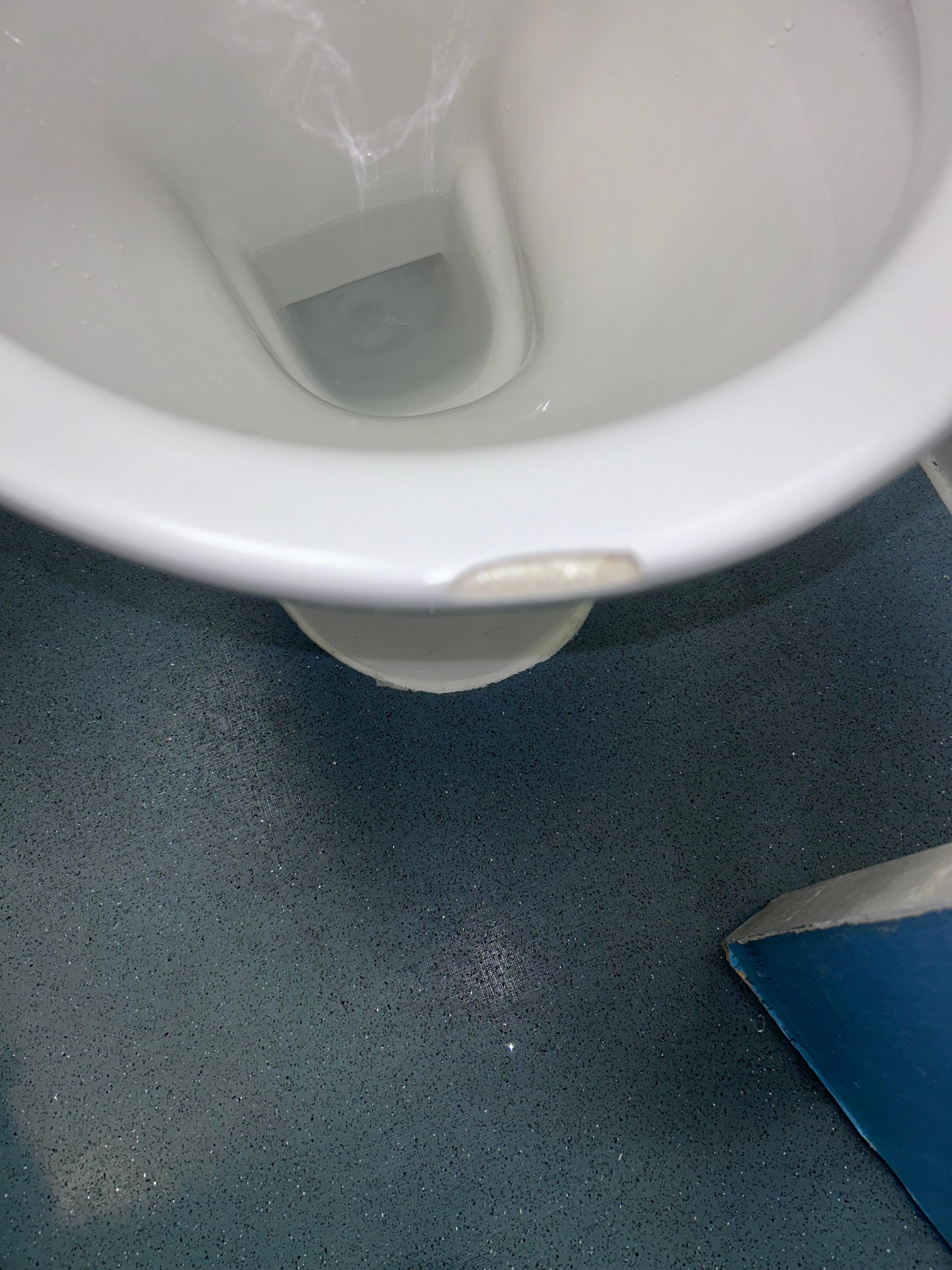 Chip in toilet basin