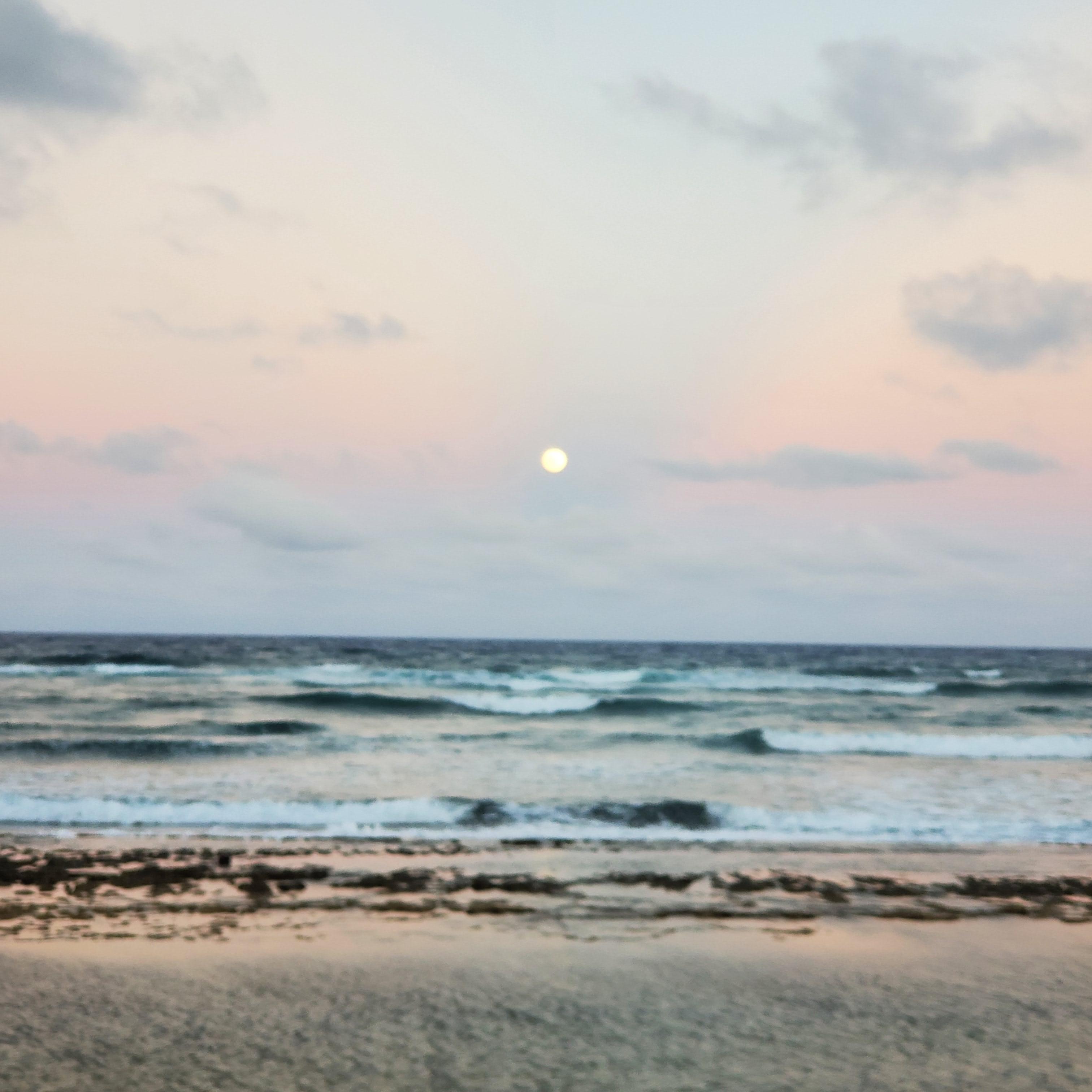 Photo from the resort