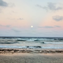 Photo from the resort