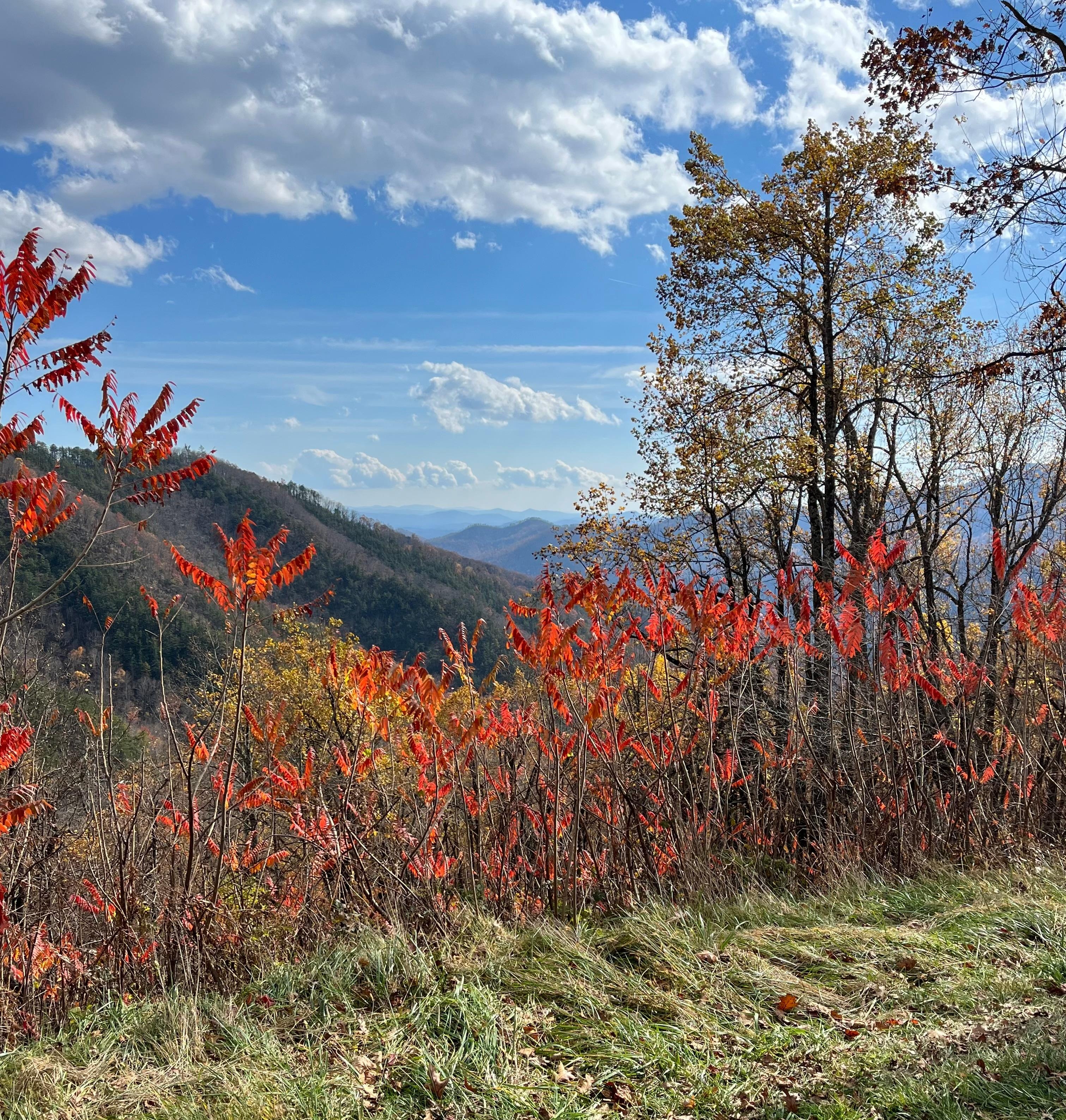 Blue Ridge Parkway Overlook a few miles from the chalet 