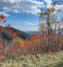 Blue Ridge Parkway Overlook a few miles from the chalet
