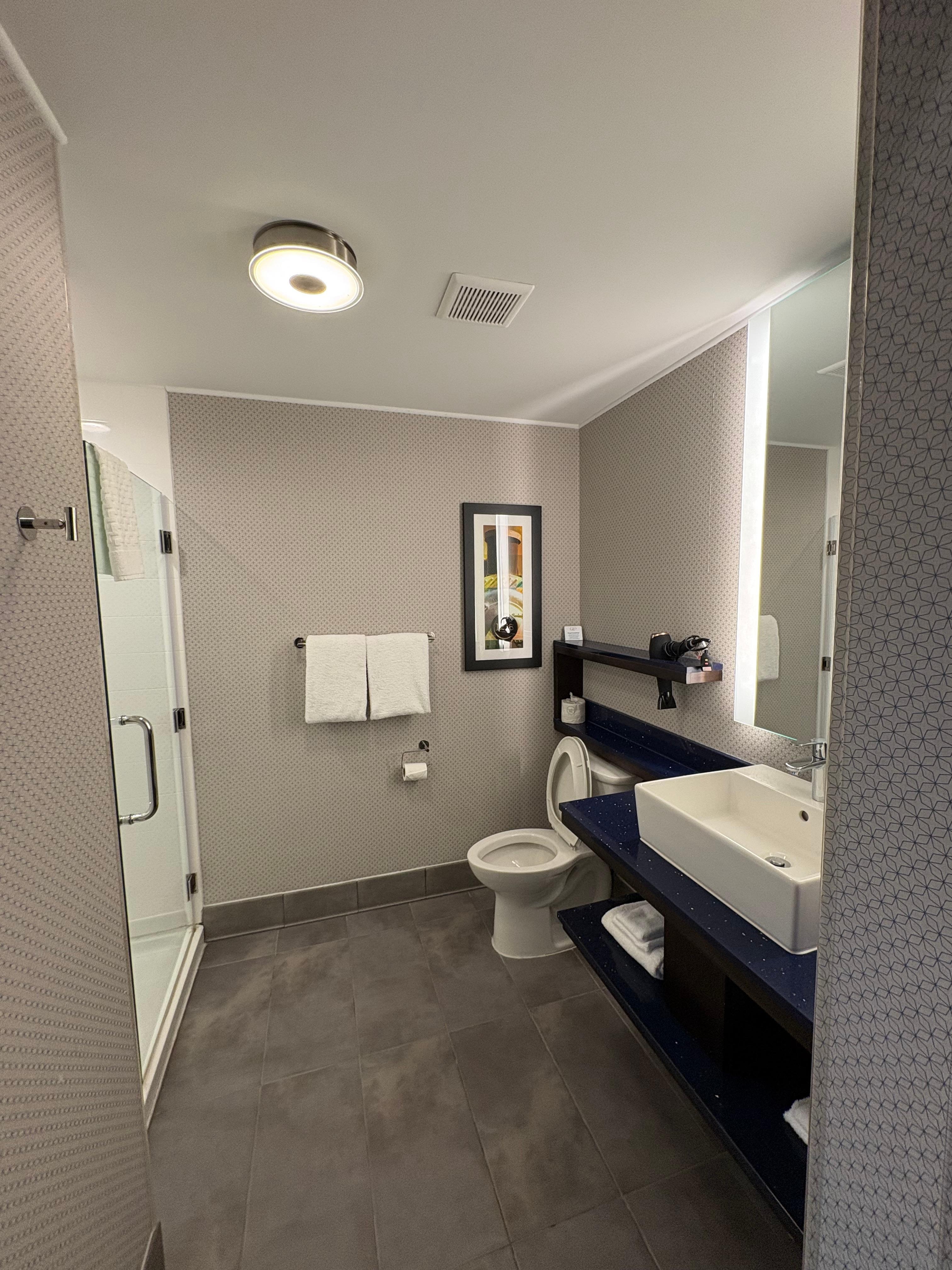 Bathroom with barn style rolling door 
