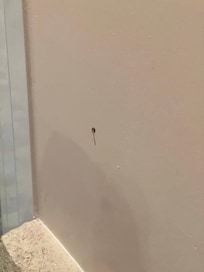 Wall with blood on wall .
