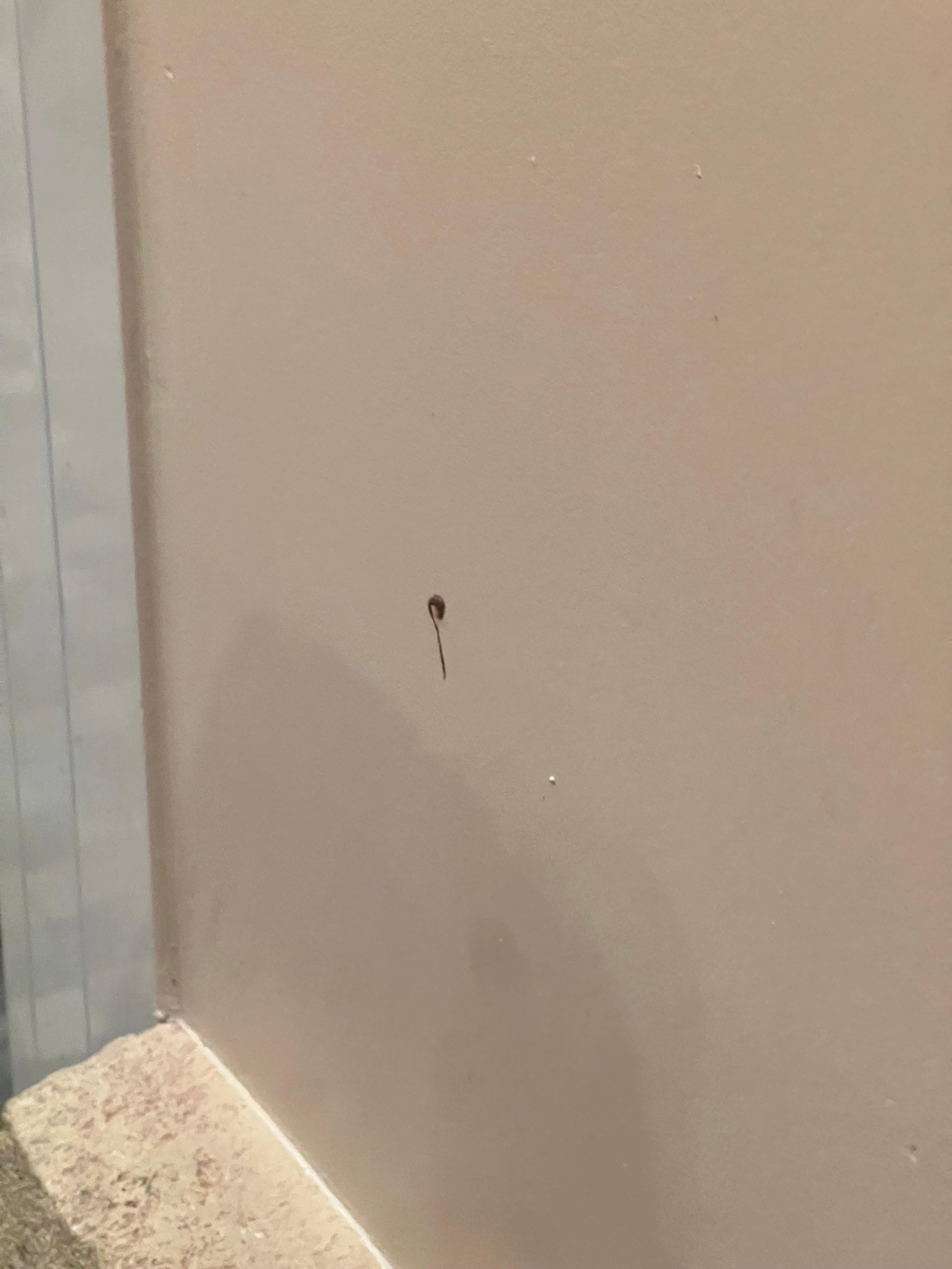 Wall with blood on wall .