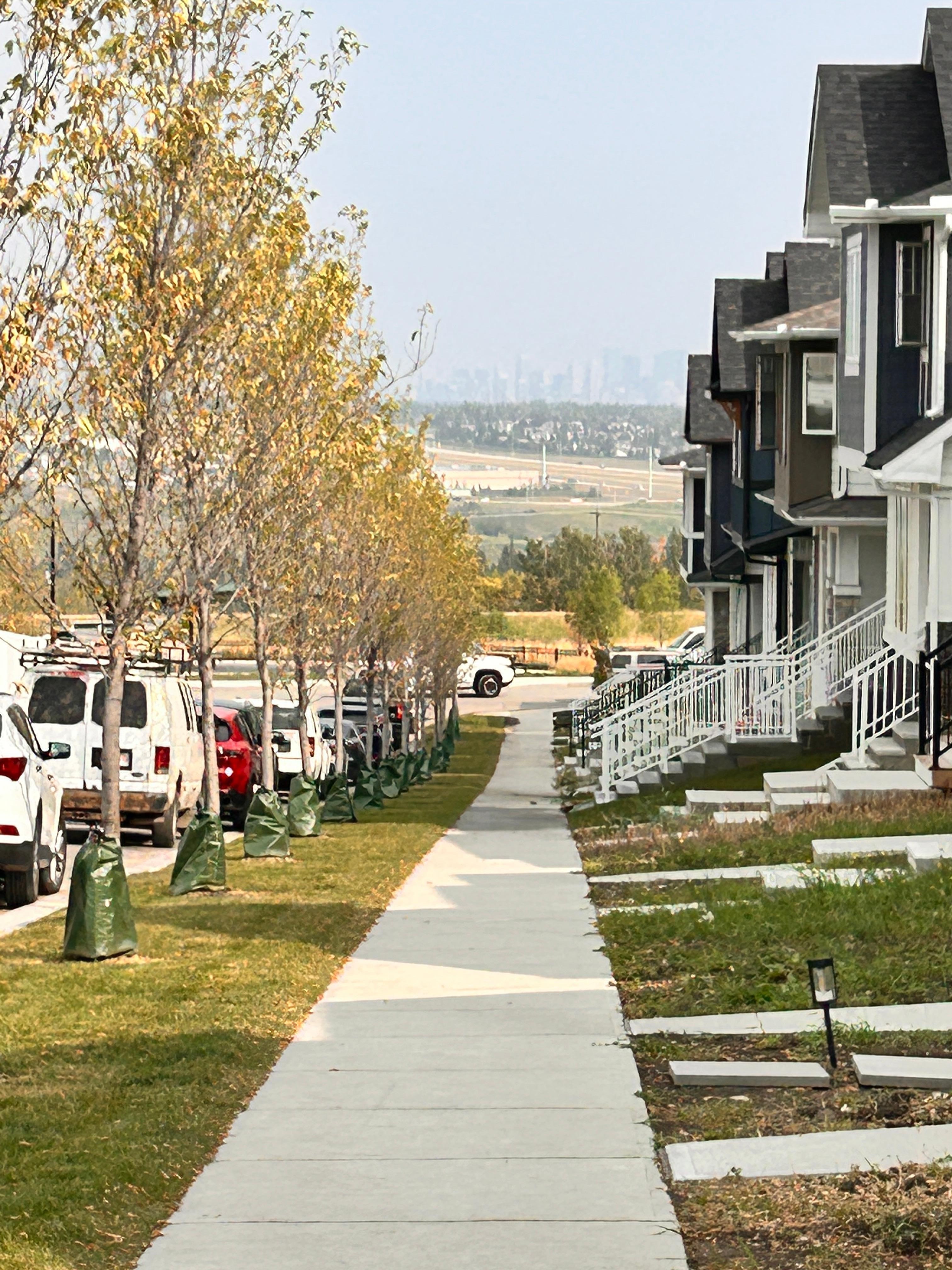 View down the street