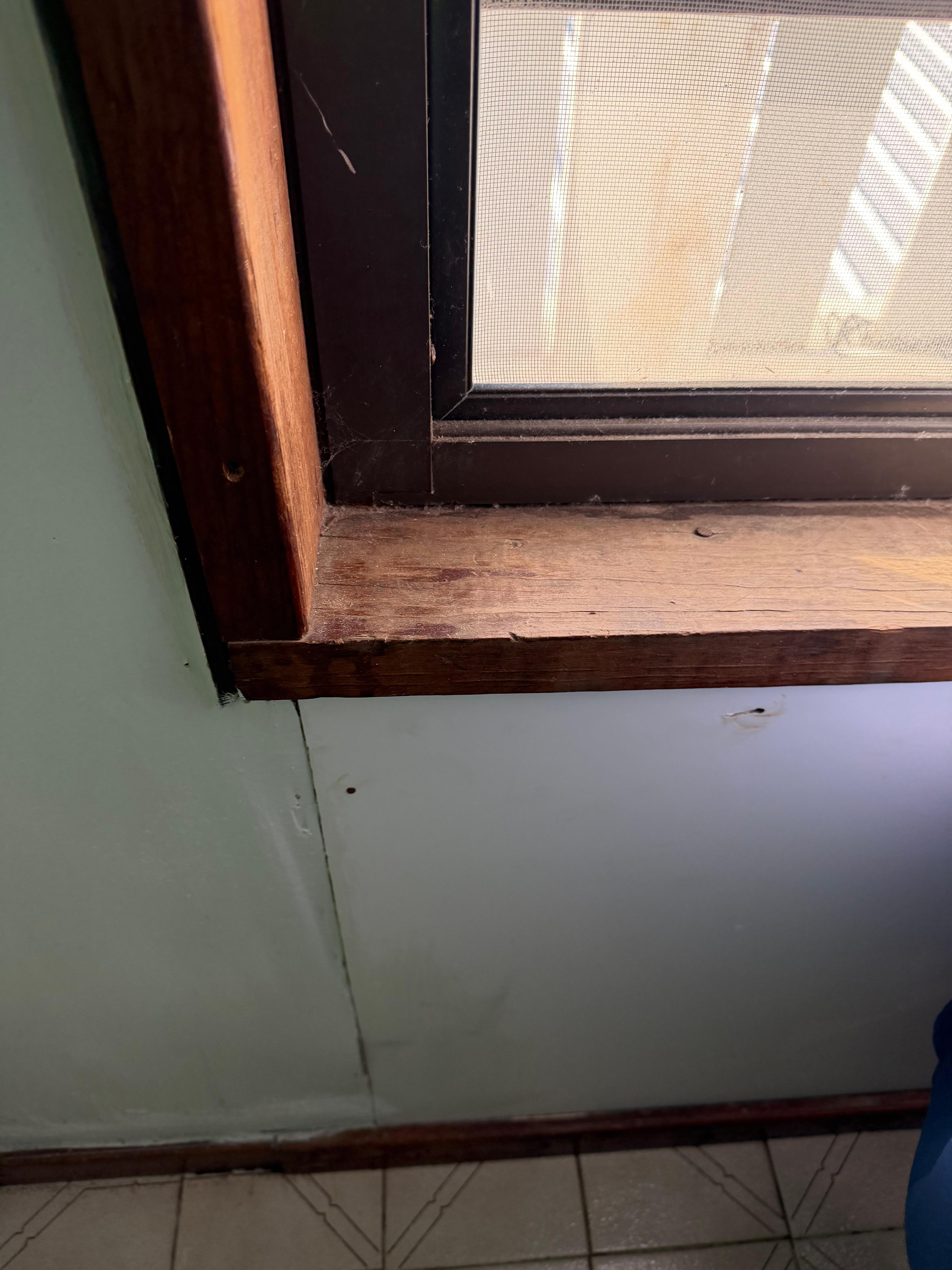 Bedroom window (hiding behind curtain)