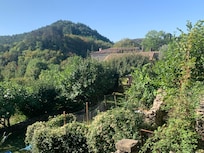 The surroundings