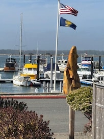 The view from the front door