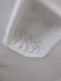 Mold in shower
