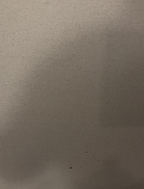 Blood spattered on the wall that never got cleaned up the entire weekend after being notified.
