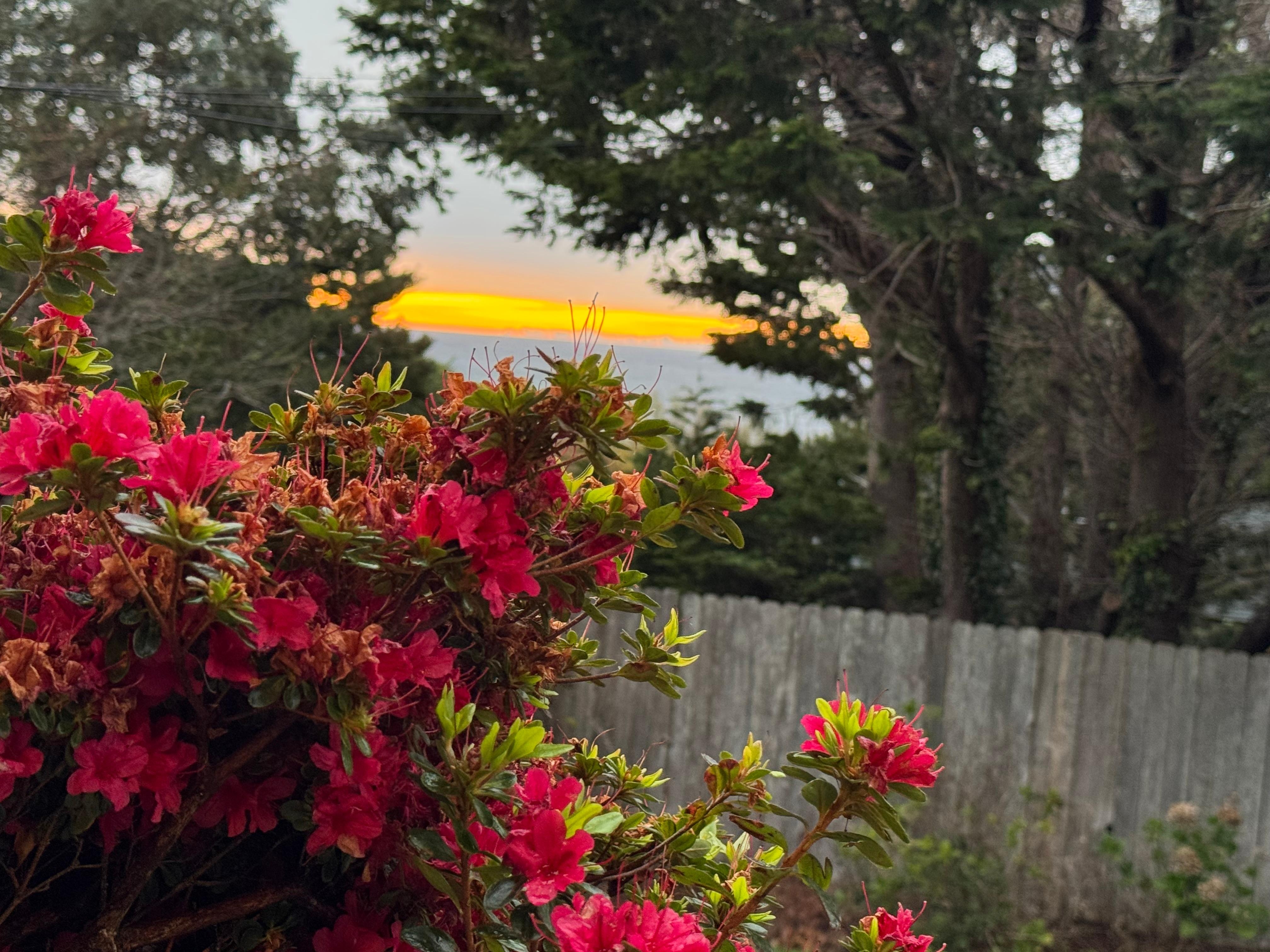 View from the front deck