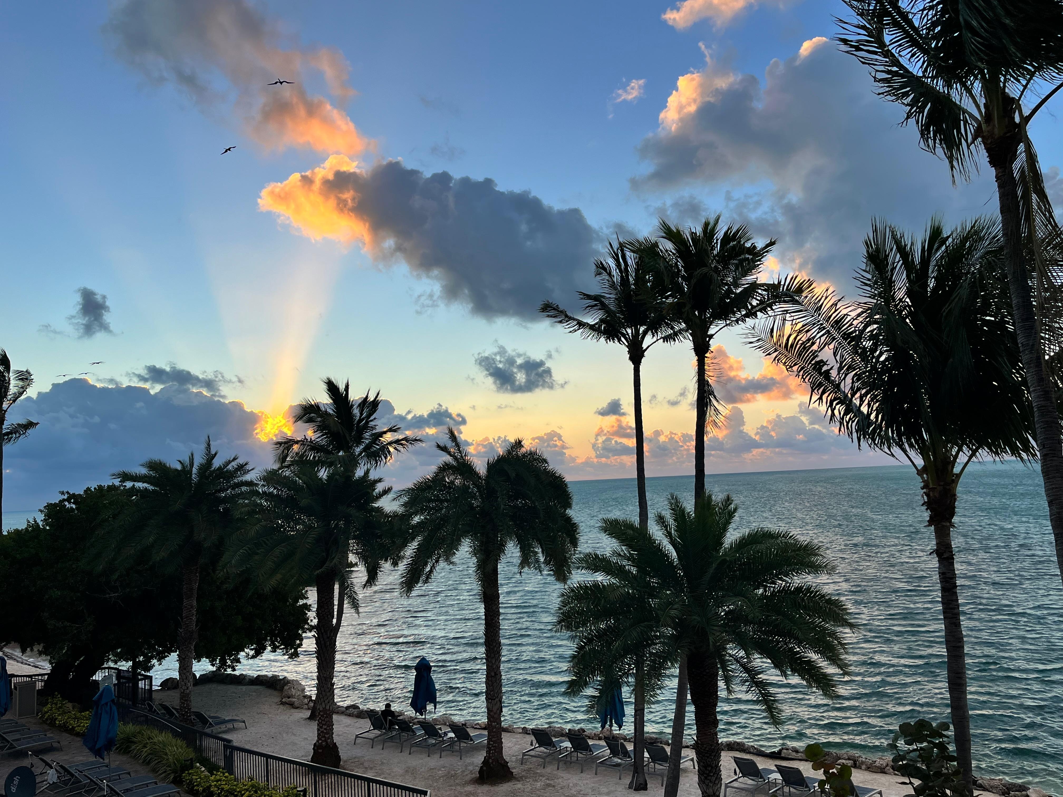 Best spot in the cove! 