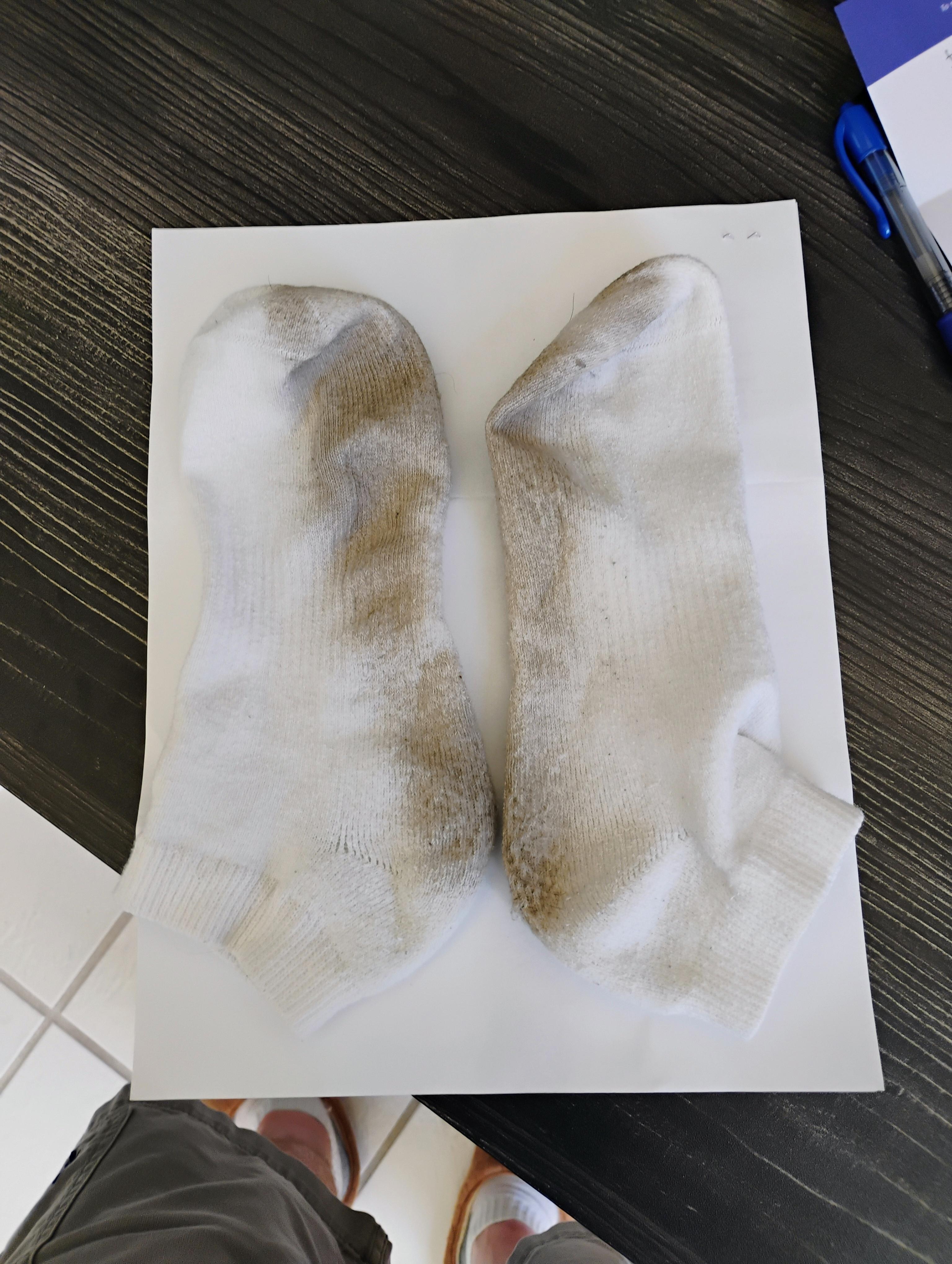 Evidence of how clean this hotel is.  Front Desk clerk said they clean every 3 days.  I dont think so. . . 