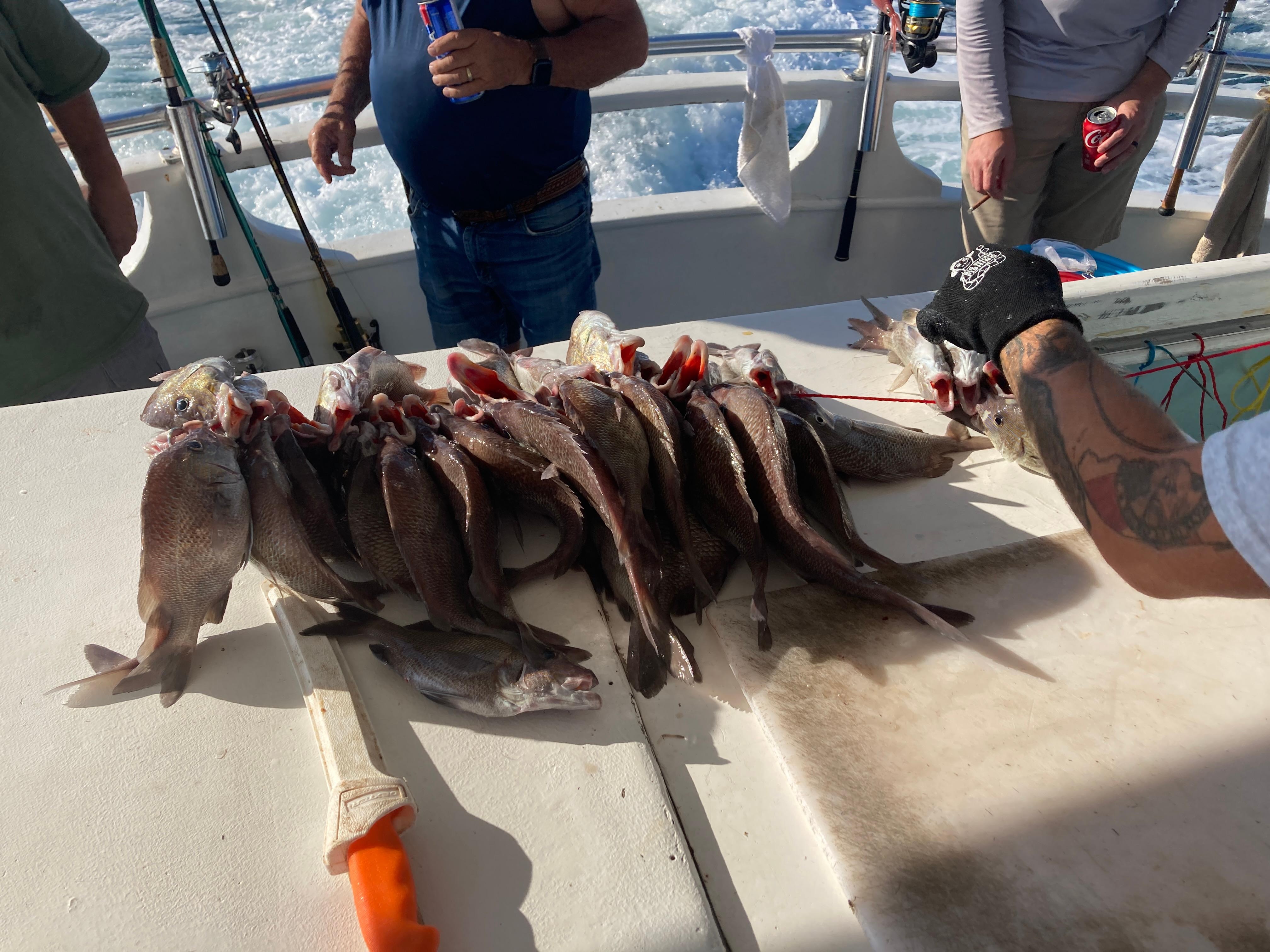 We had a great day 42 grunts which are in the snapper family, the crew filleted all the fish