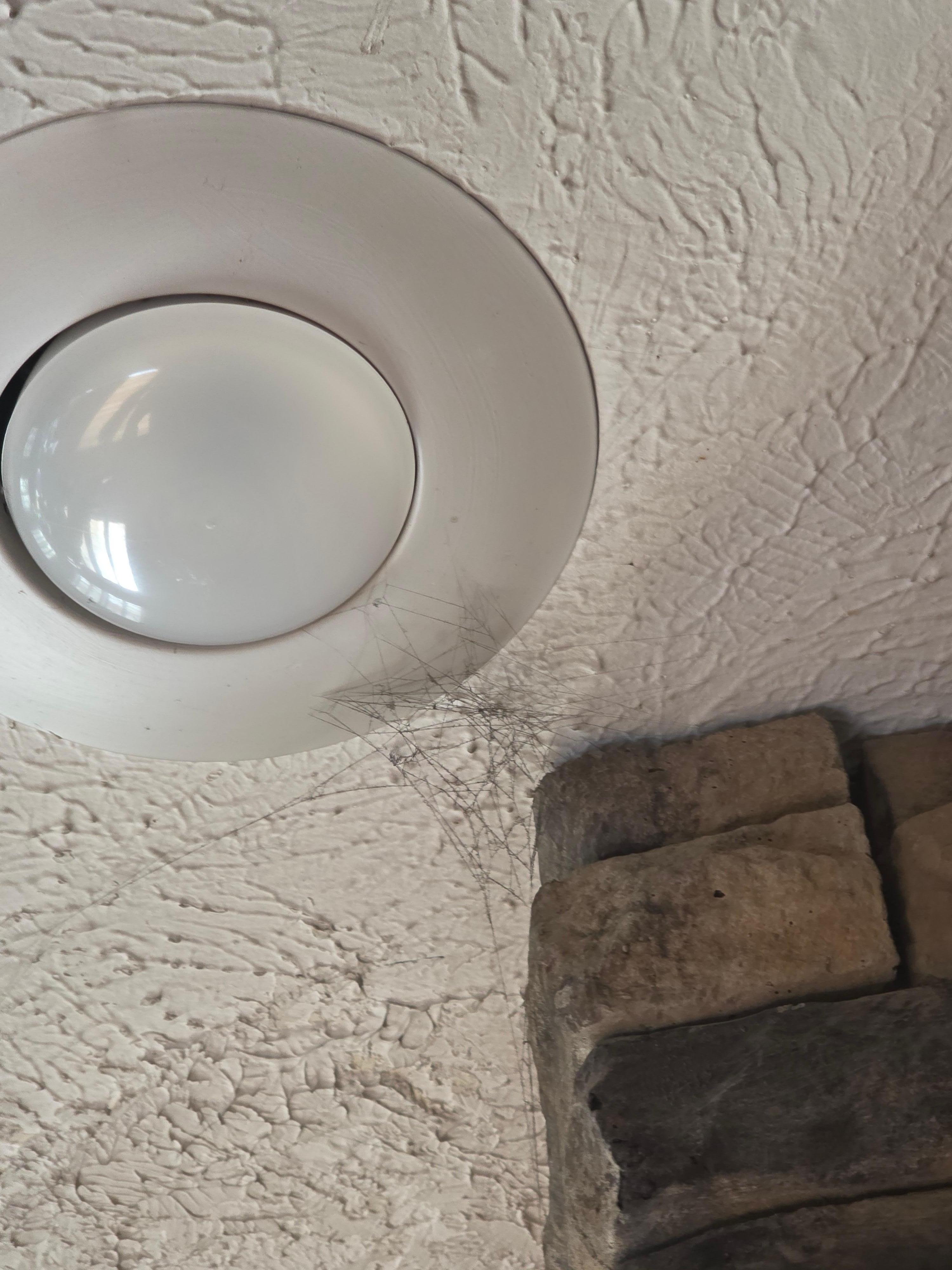 Cobwebs in the house all throughout.  The floors were so dirty we could not walk around barefoot.